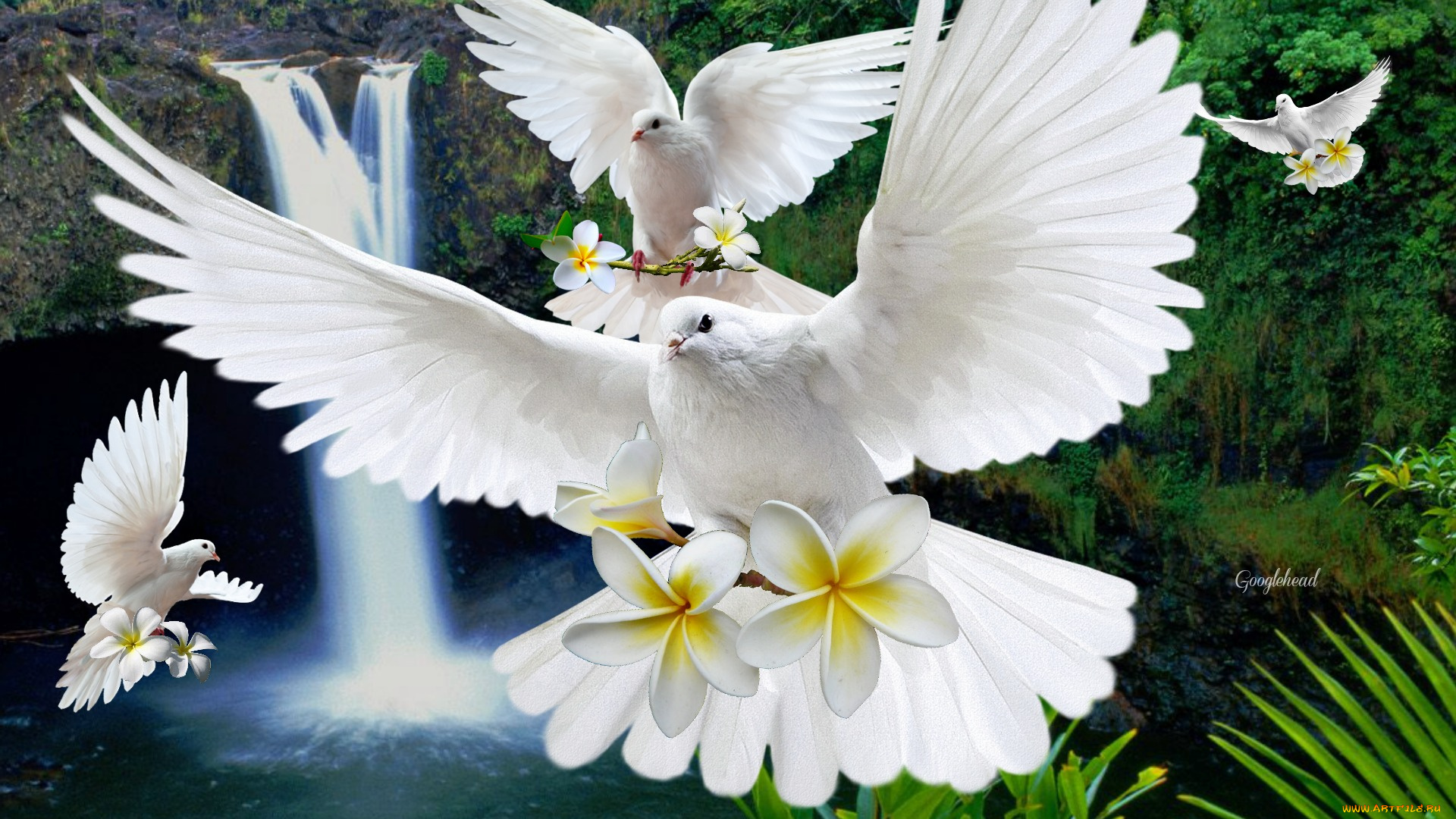 разное, компьютерный, дизайн, голуби, цветы, водопад