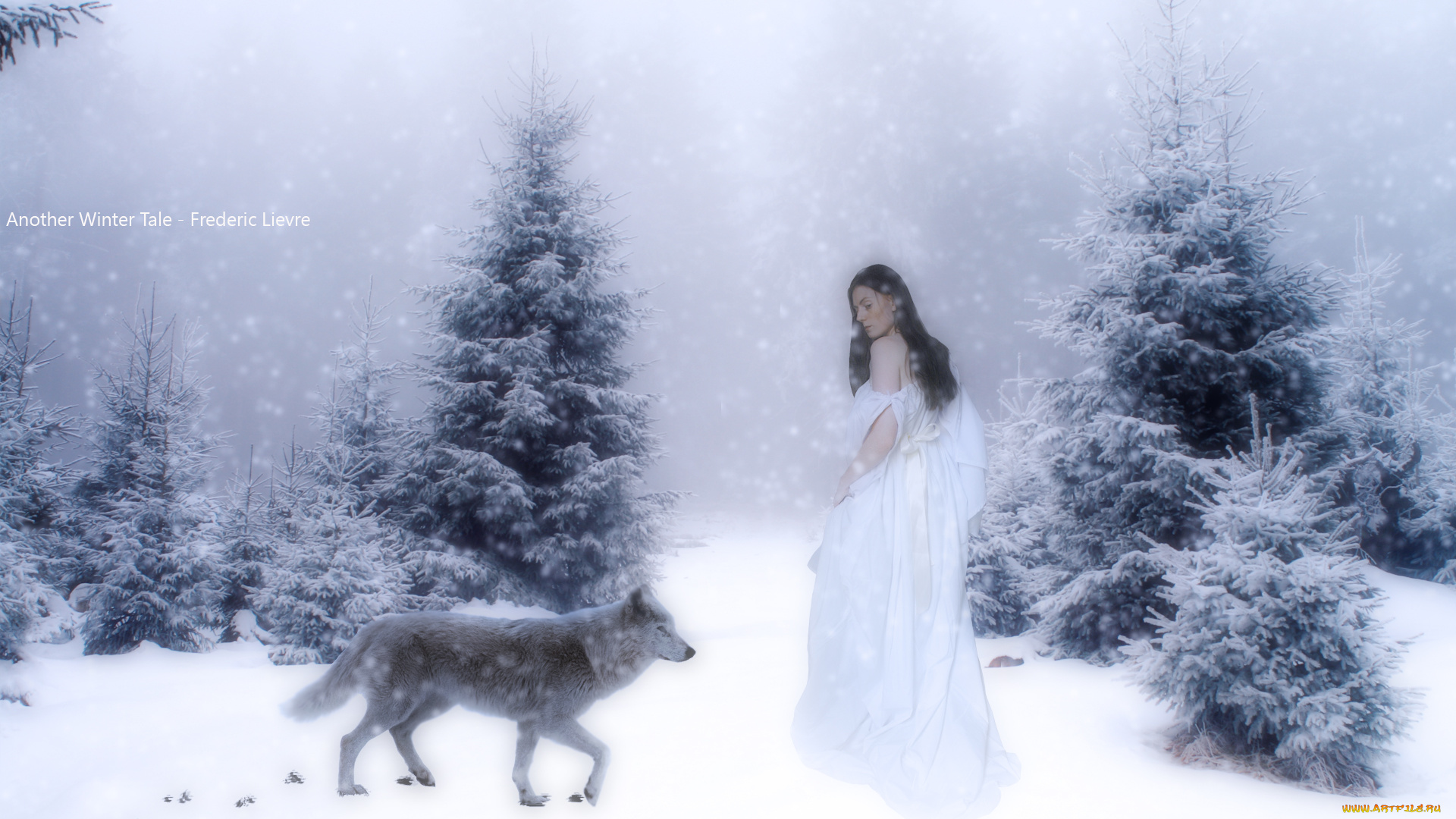 разное, компьютерный, дизайн, взгляд, девушка, лес, снег, волк