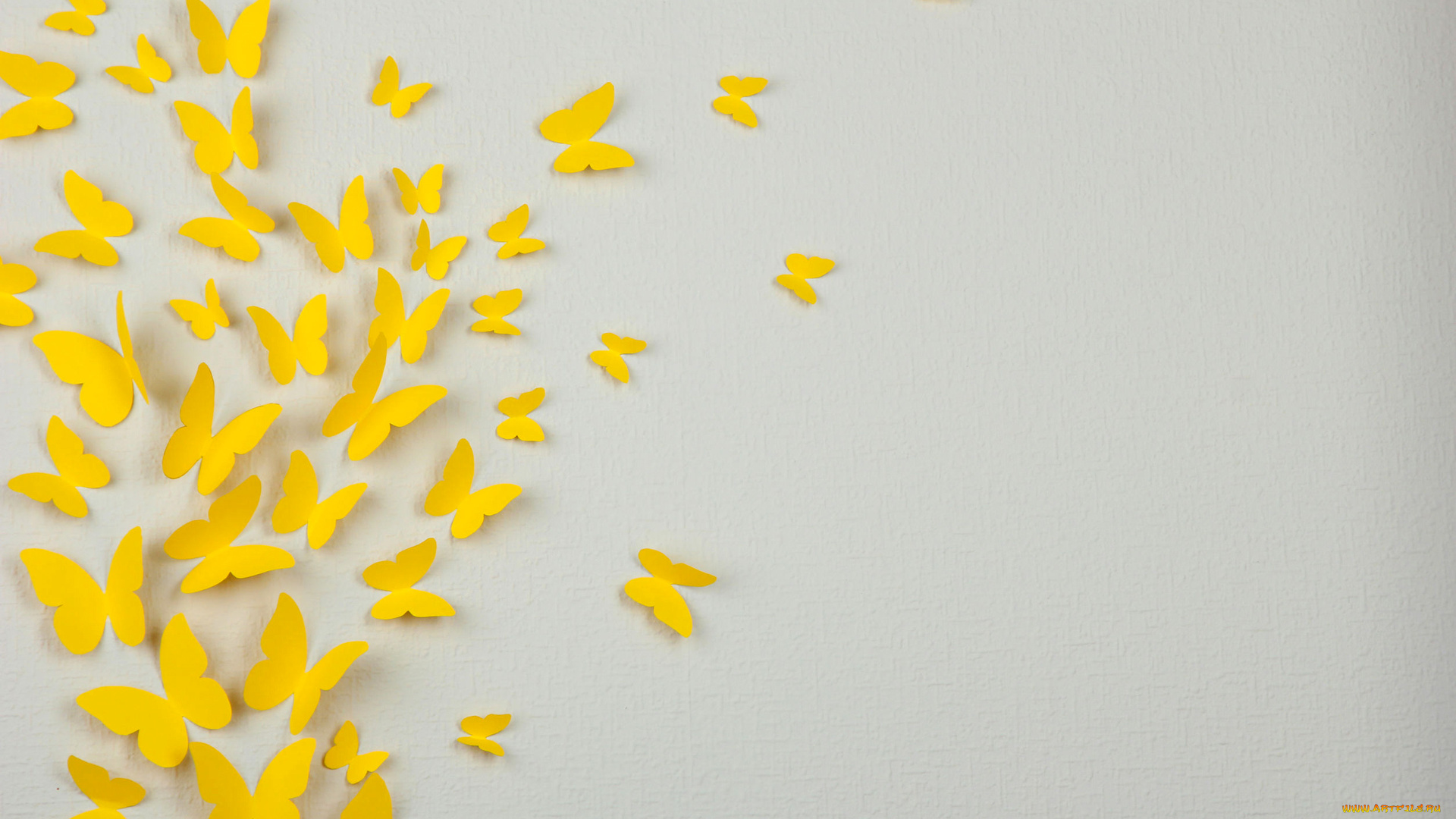 разное, текстуры, бабочка, аппликация, объем, текстура