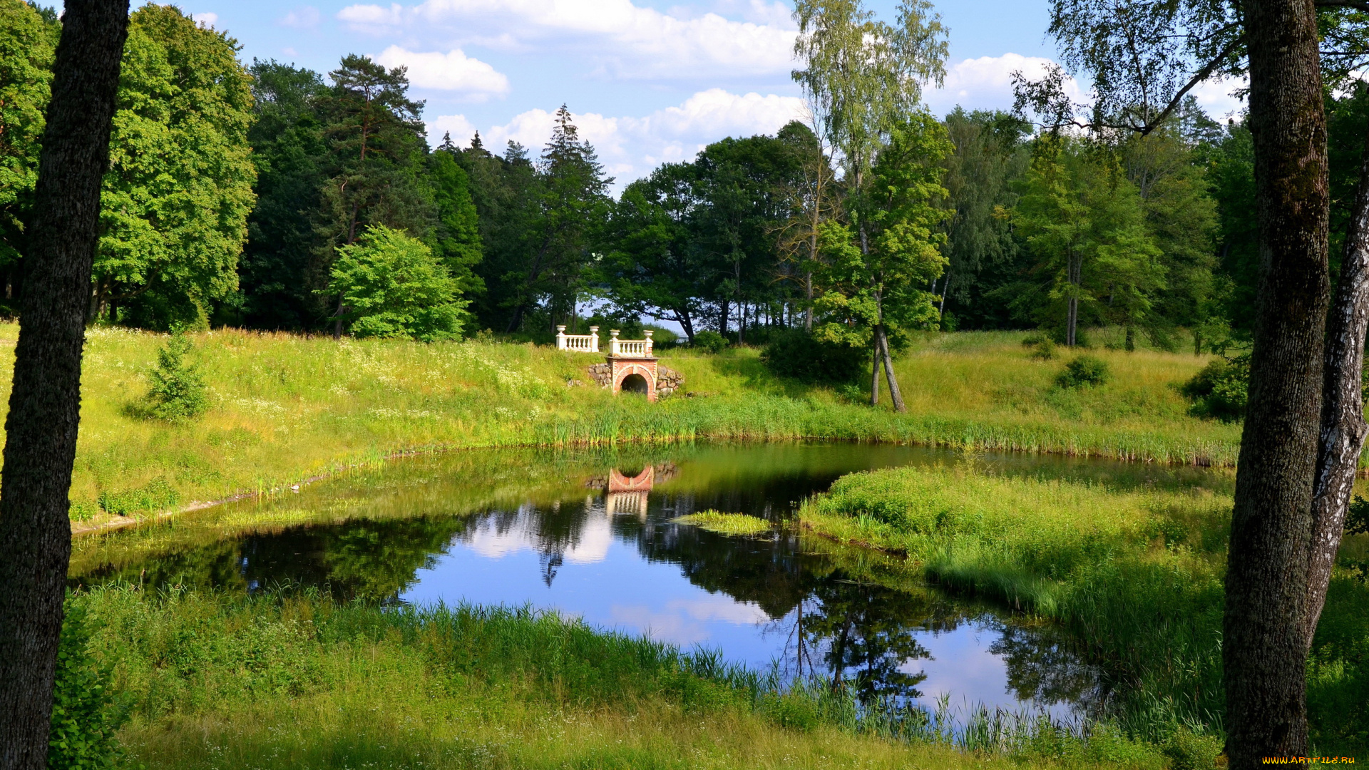 тракай, литва, природа, парк, лето, озеро, деревья, тракай, литва
