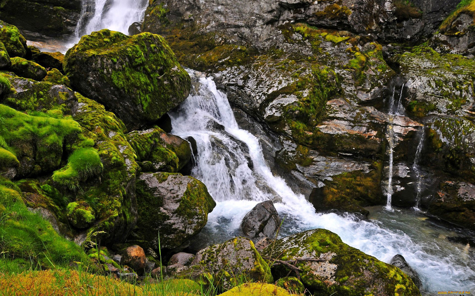 природа, реки, озера, поток, камни