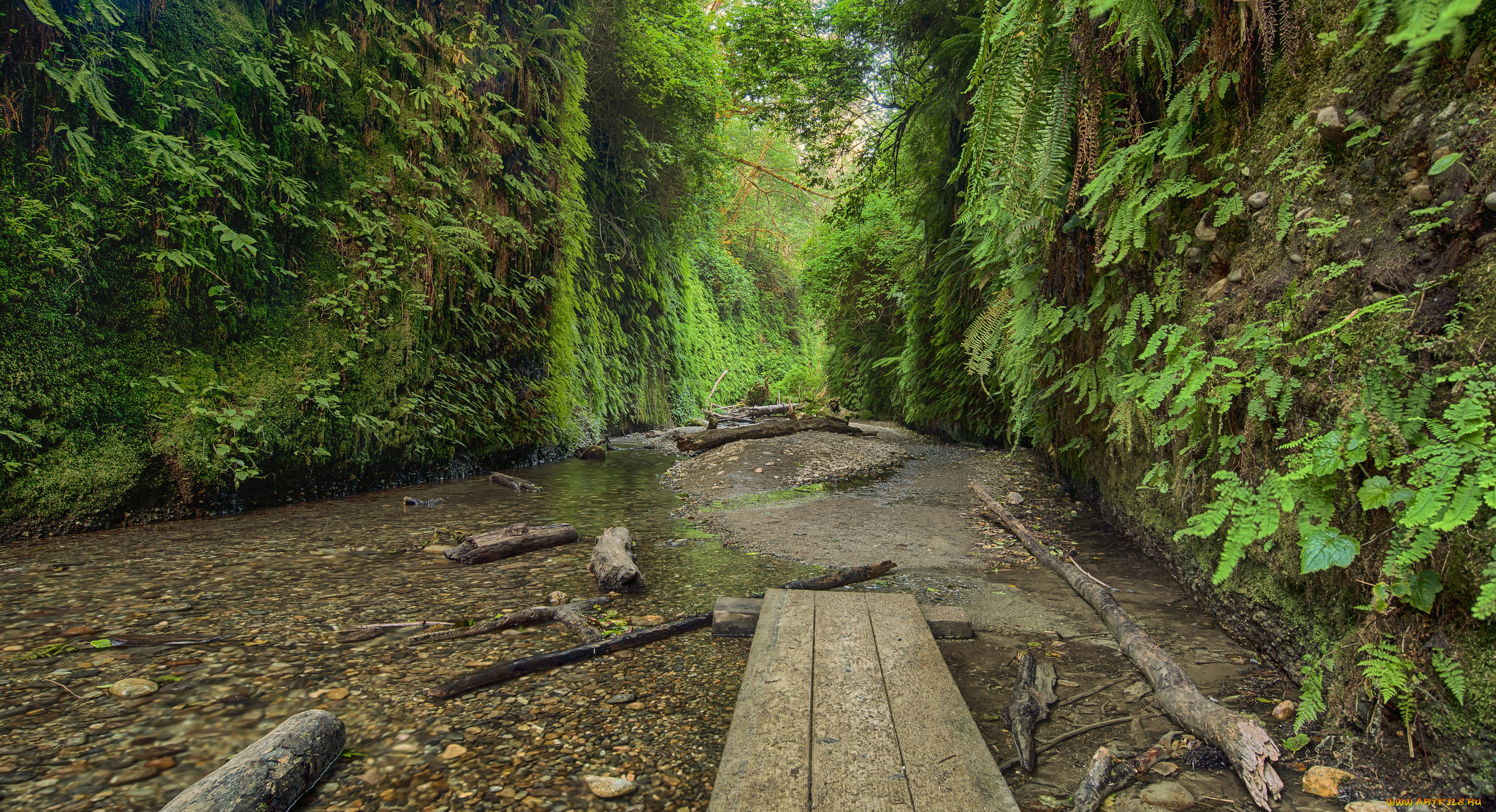 природа, реки, озера, растительность, мостки, ручей, скалы