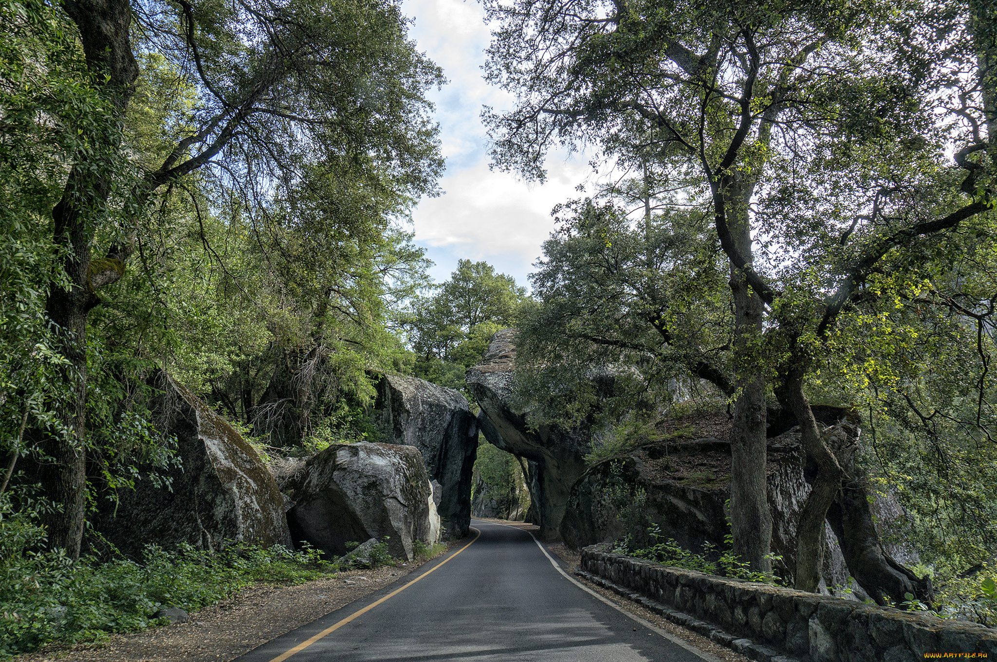 природа, дороги, арка, шоссе, лес