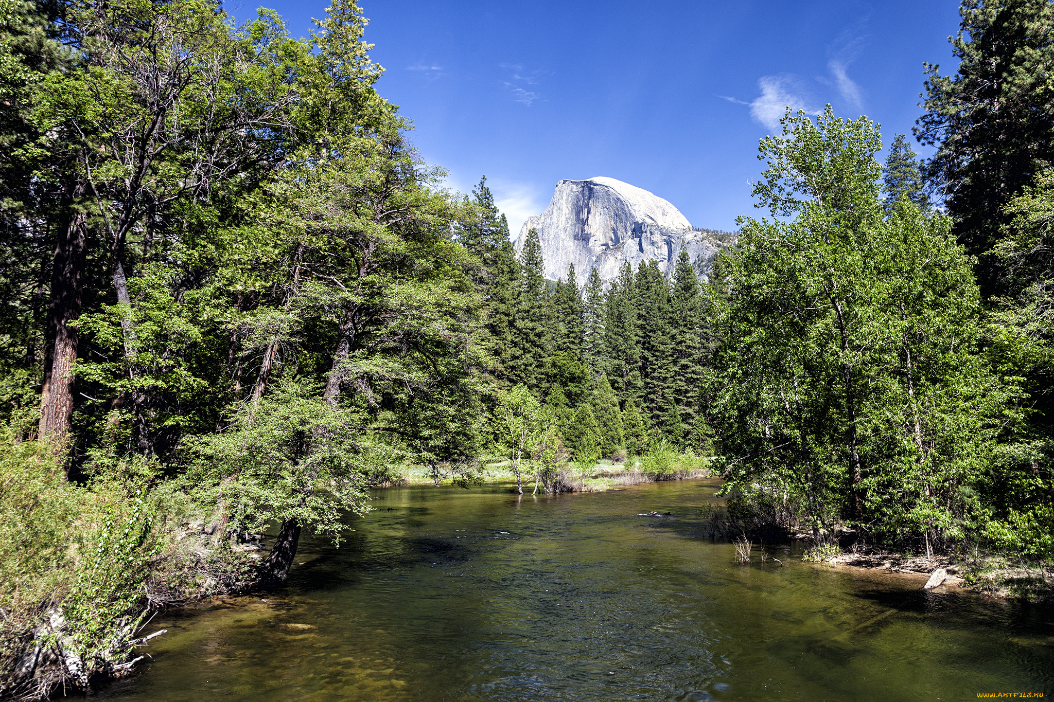 природа, реки, озера, лес, горы, река