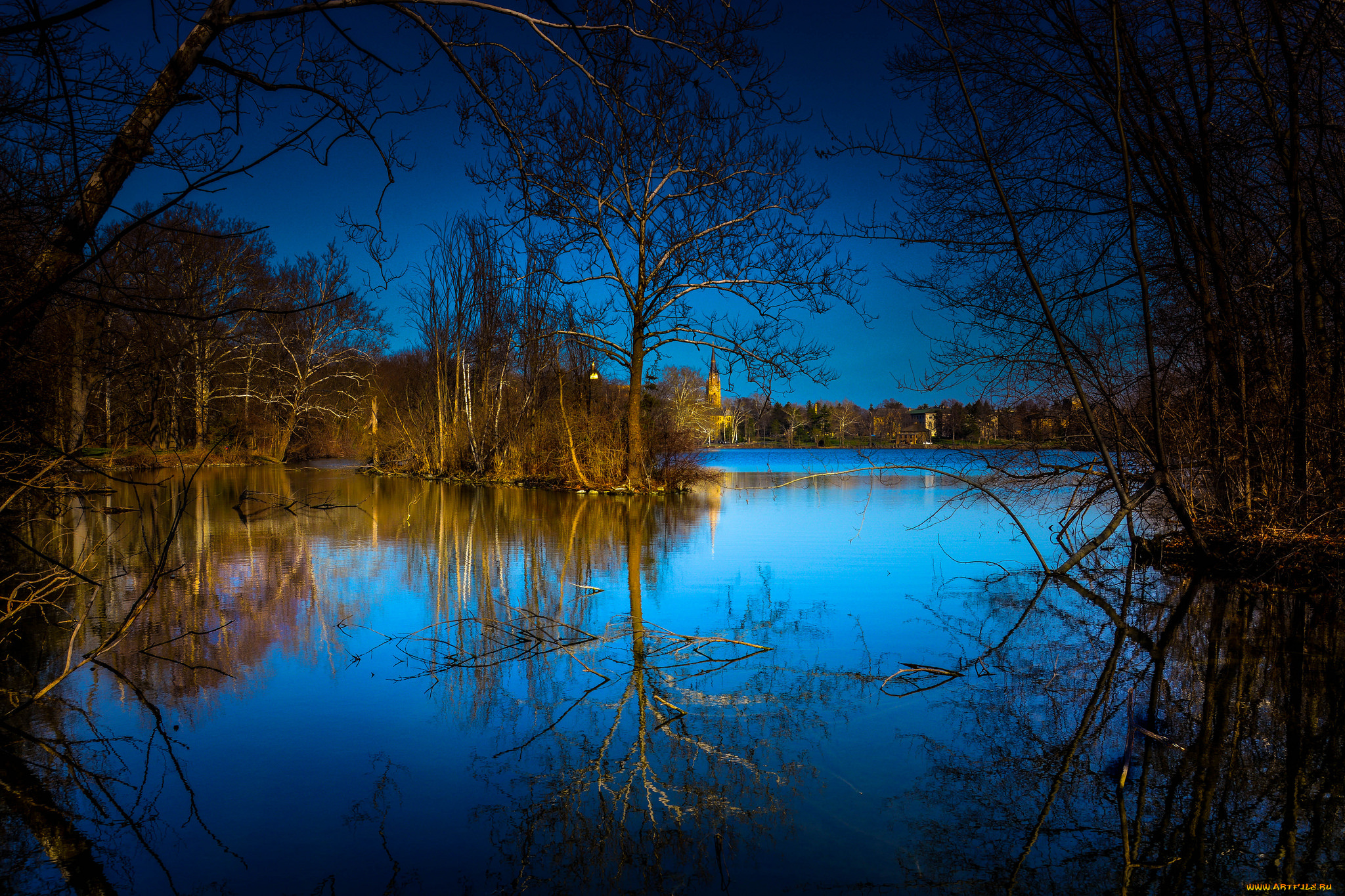 природа, реки, озера, река, лес