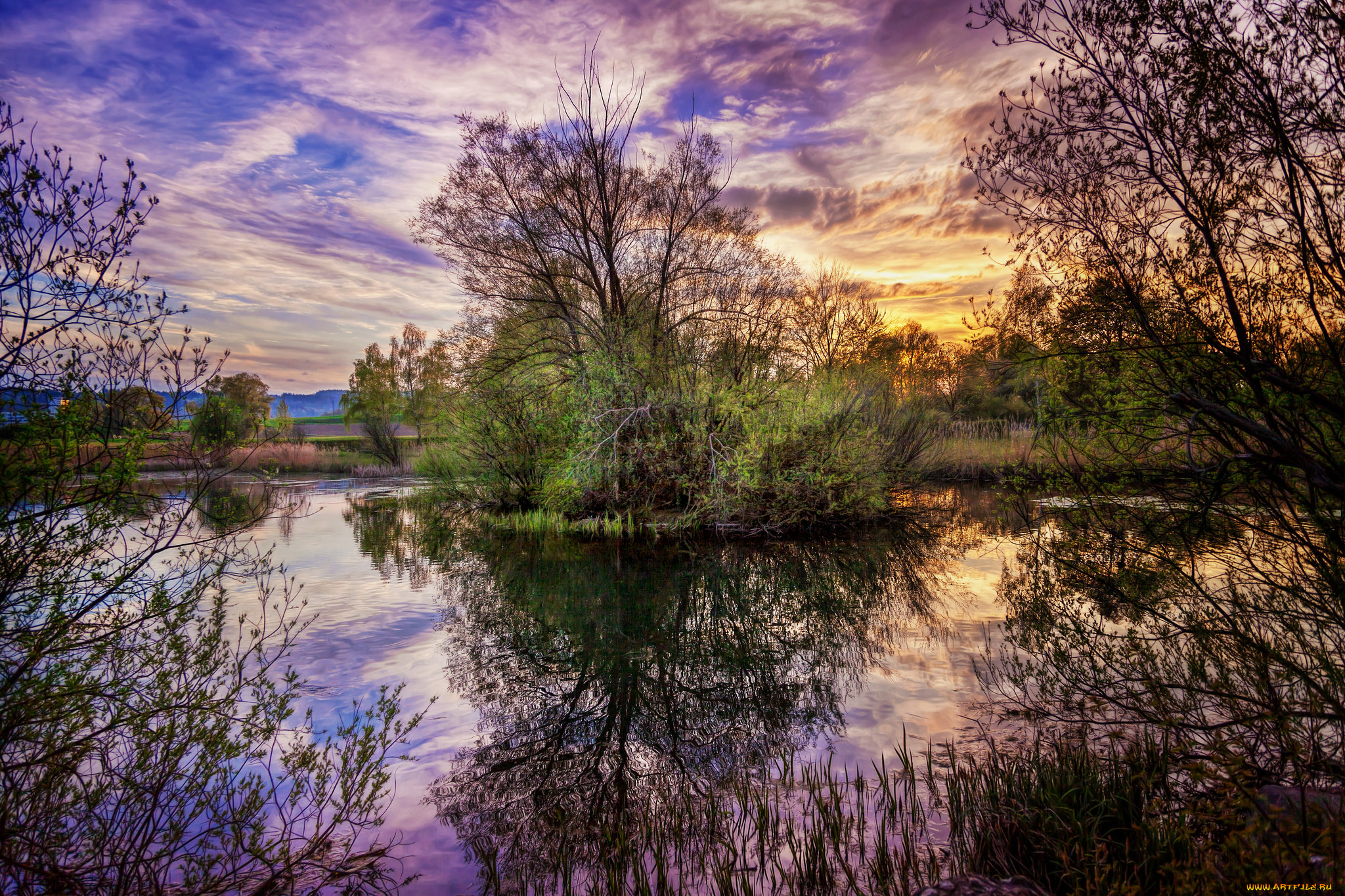 природа, восходы, закаты, река, заросли, заря, облака