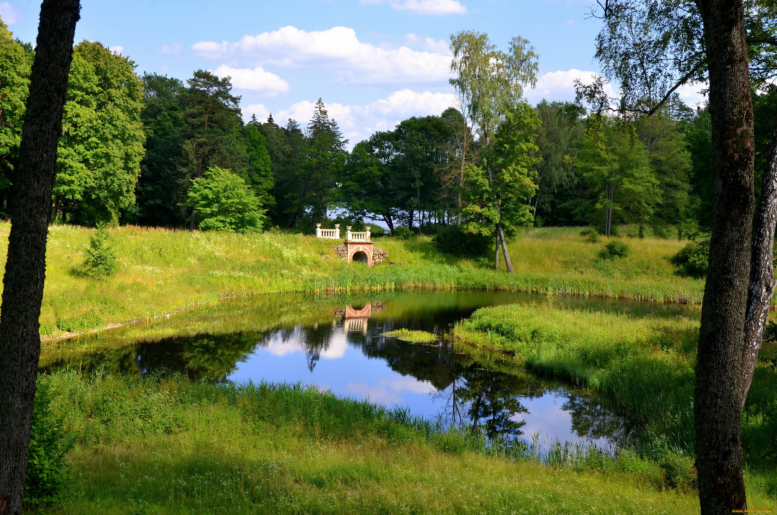 тракай, литва, природа, парк, лето, озеро, деревья, тракай, литва