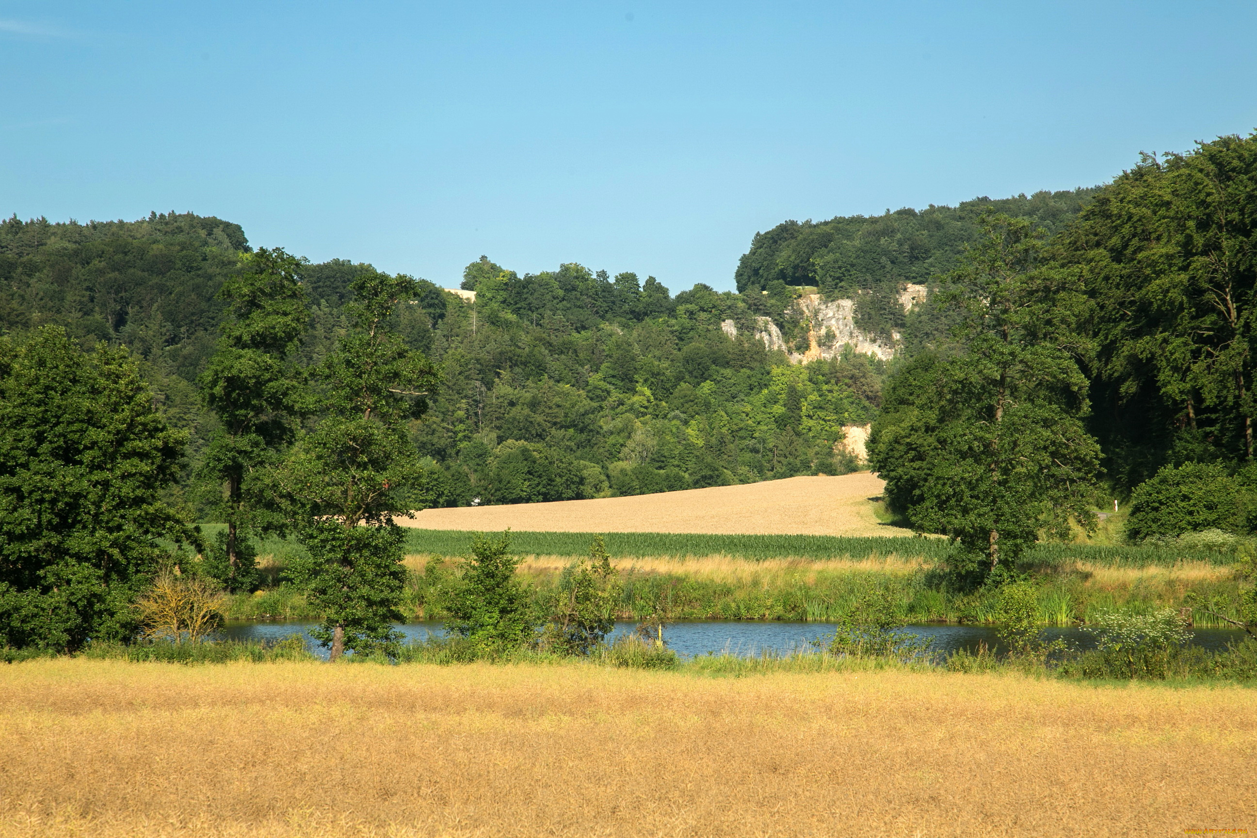 природа, реки, озера, бавария, германия, трава, деревья, река
