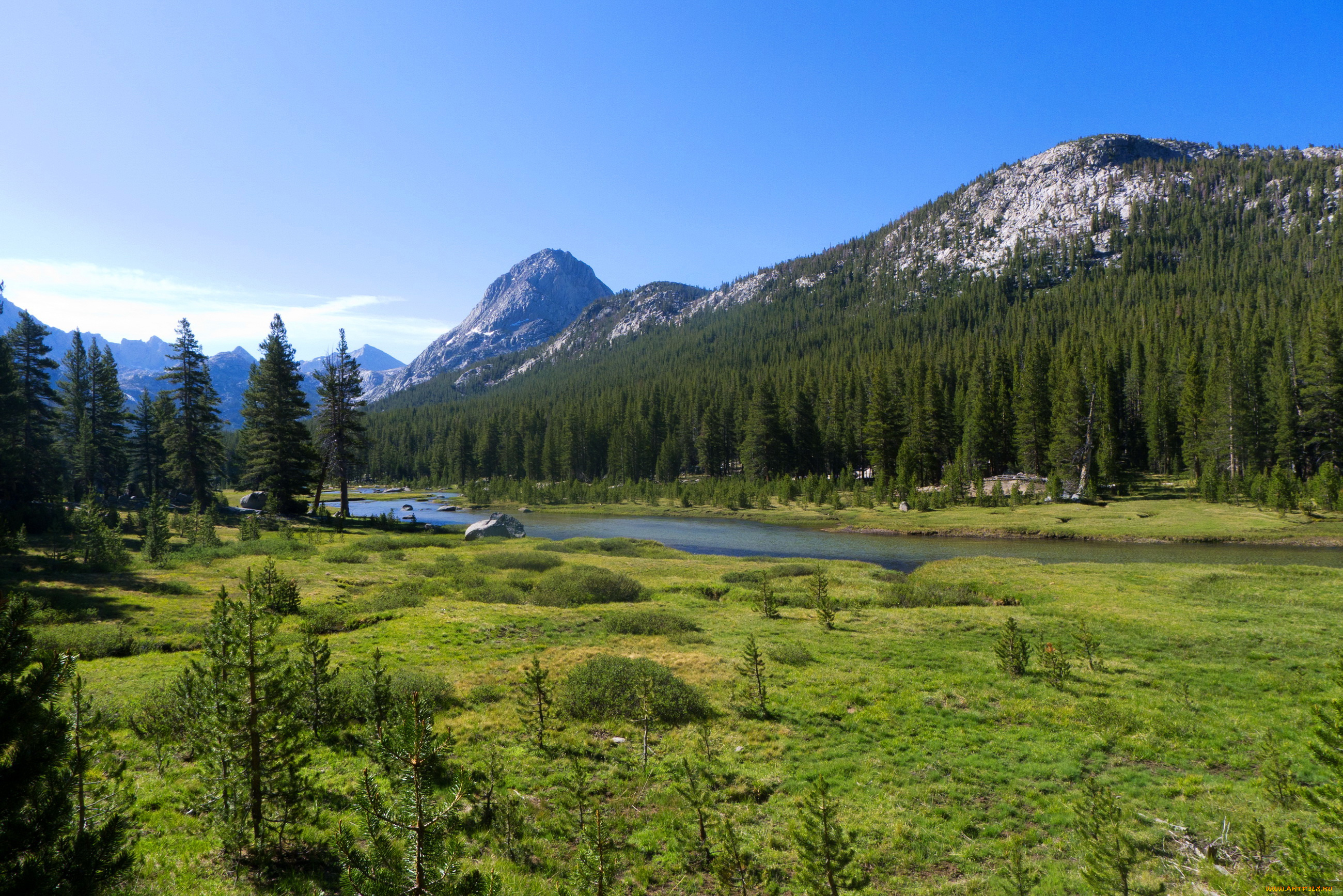 природа, реки, озера, ели, трава, пейзаж, горы, сша, вашингтон