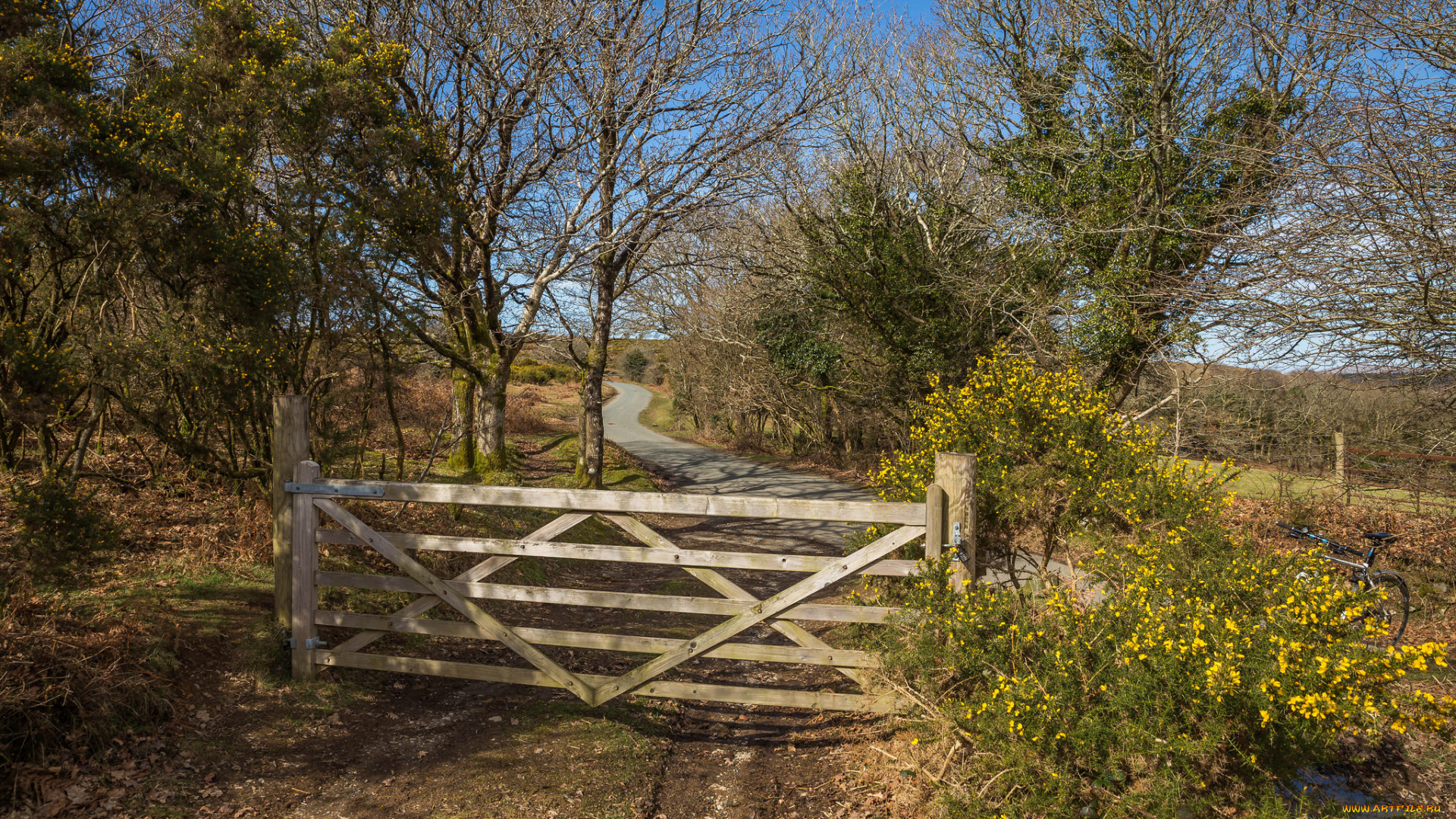природа, дороги, дорожка, изгородь