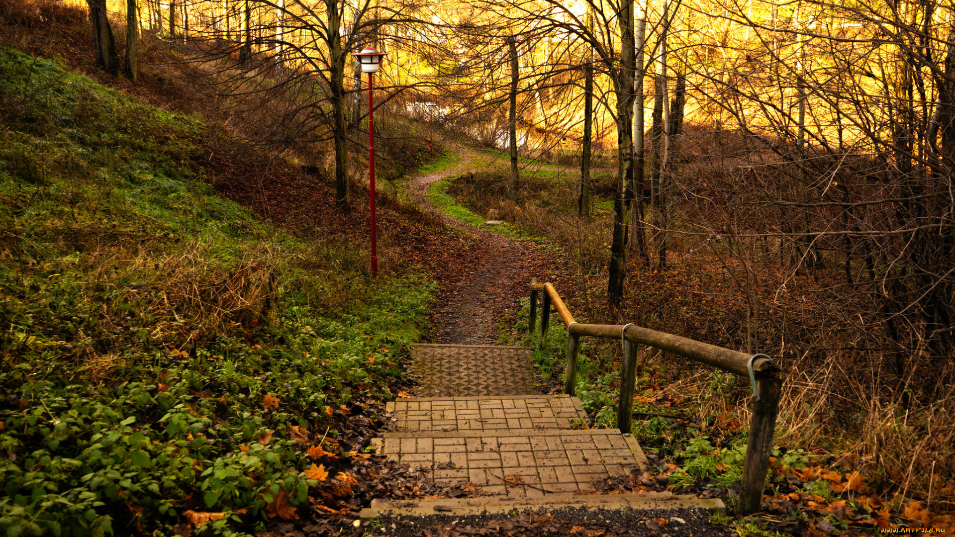 природа, дороги, ступеньки, дорожка