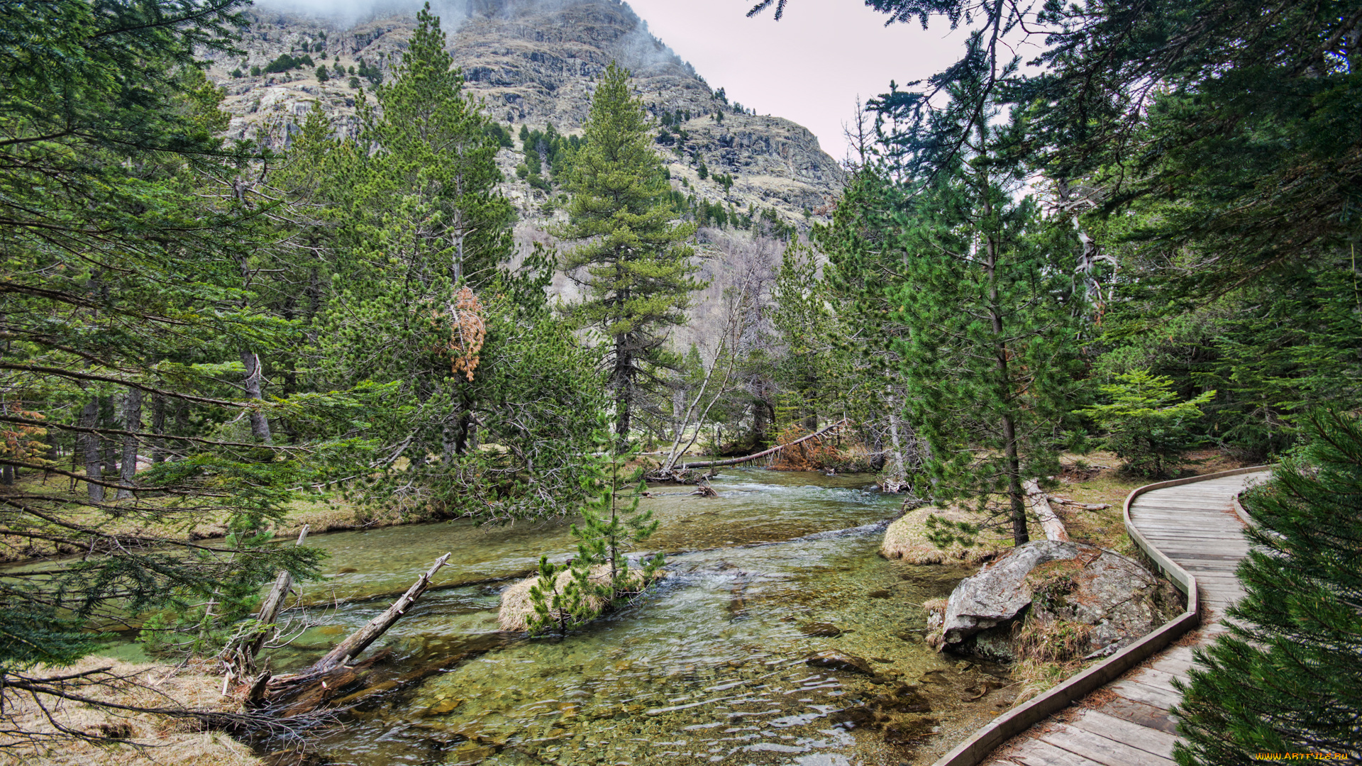 природа, реки, озера, река, горы, лес