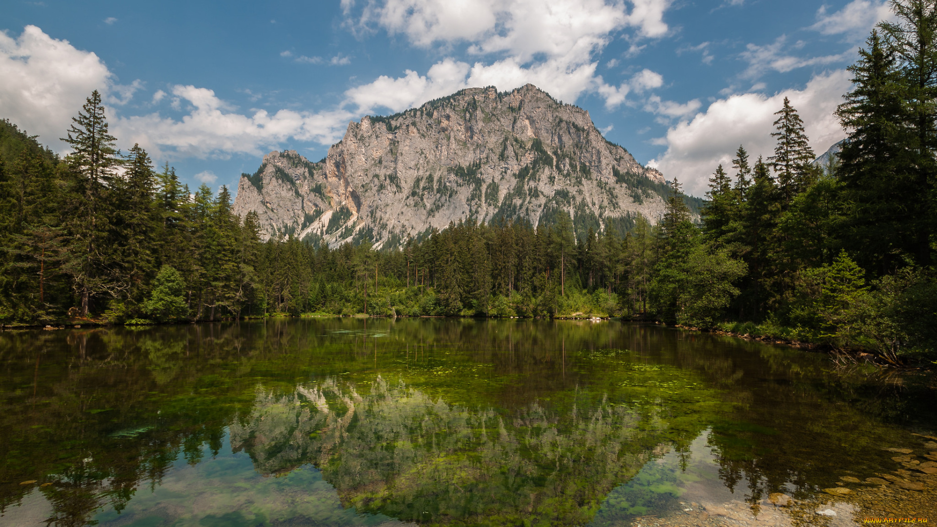 природа, реки, озера, река, лес, горы