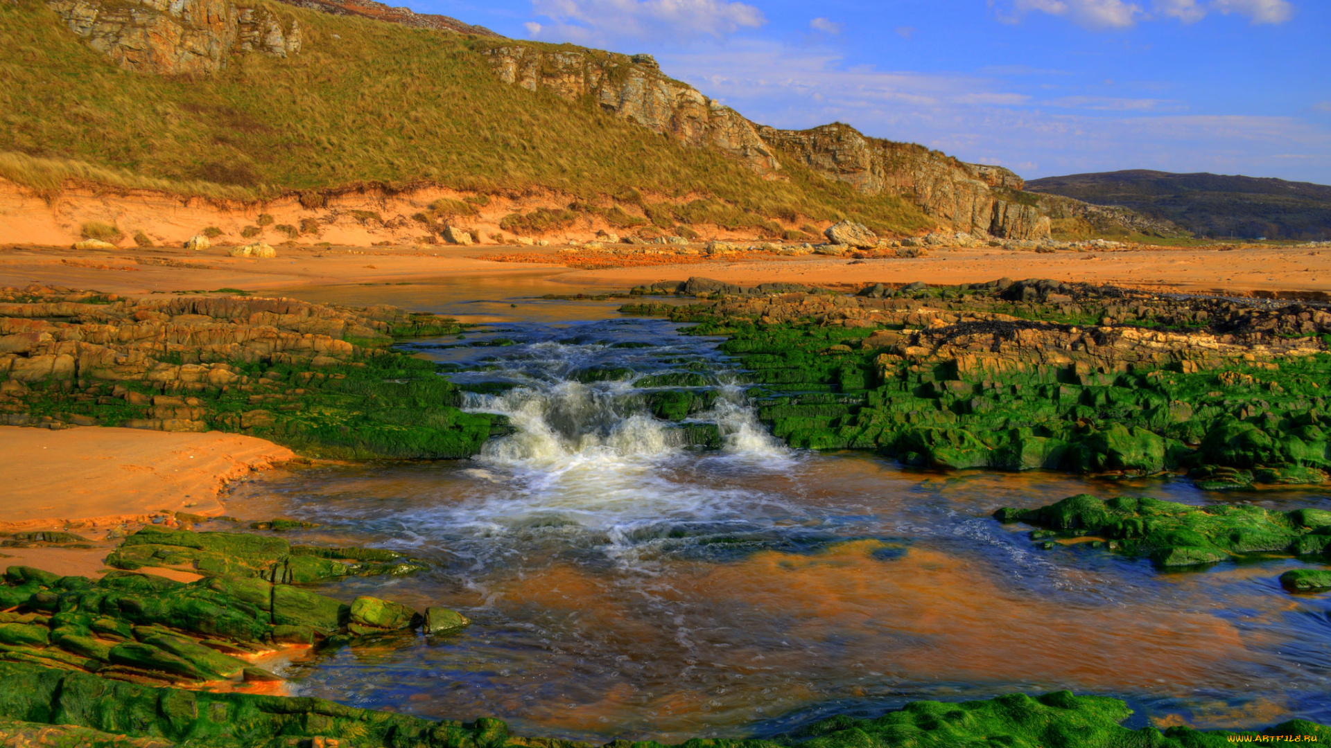 природа, реки, озера, река, лес, горы