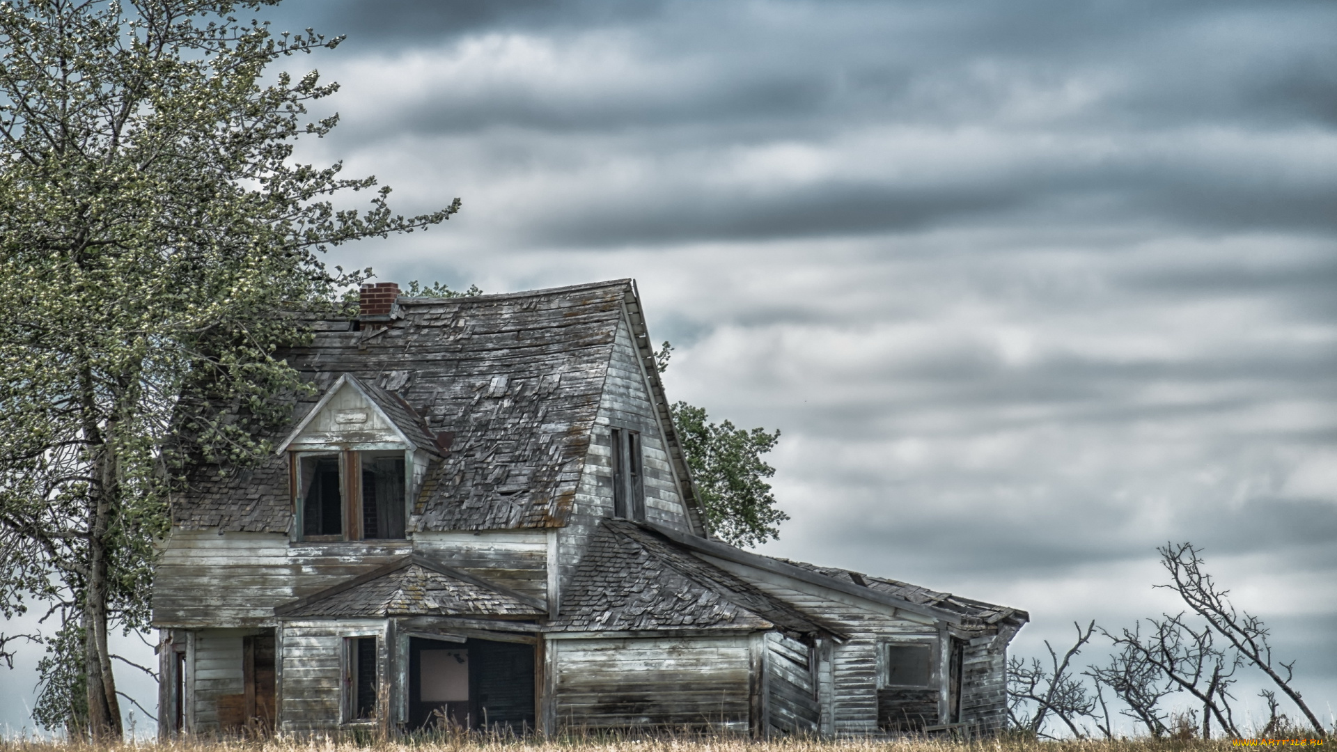 разное, развалины, , руины, , металлолом, дерево, дом, пасмурно, тучи, небо, заброшенный