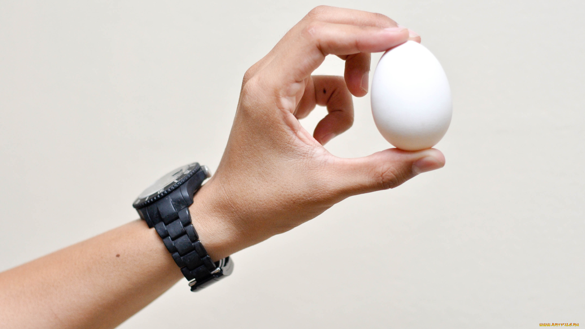 разное, руки, рука, часы, яйцо