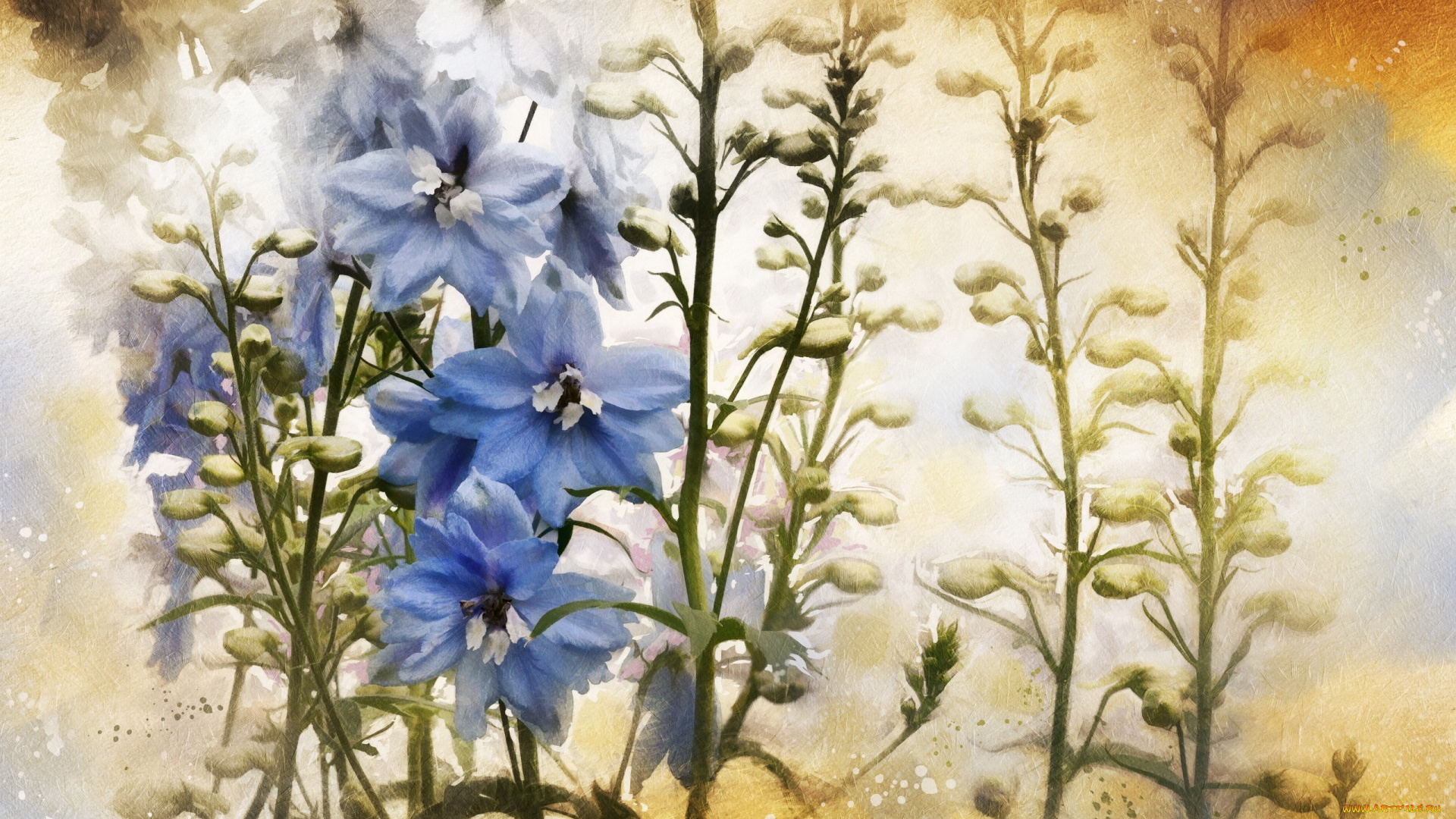 разное, текстуры, текстура, цветы