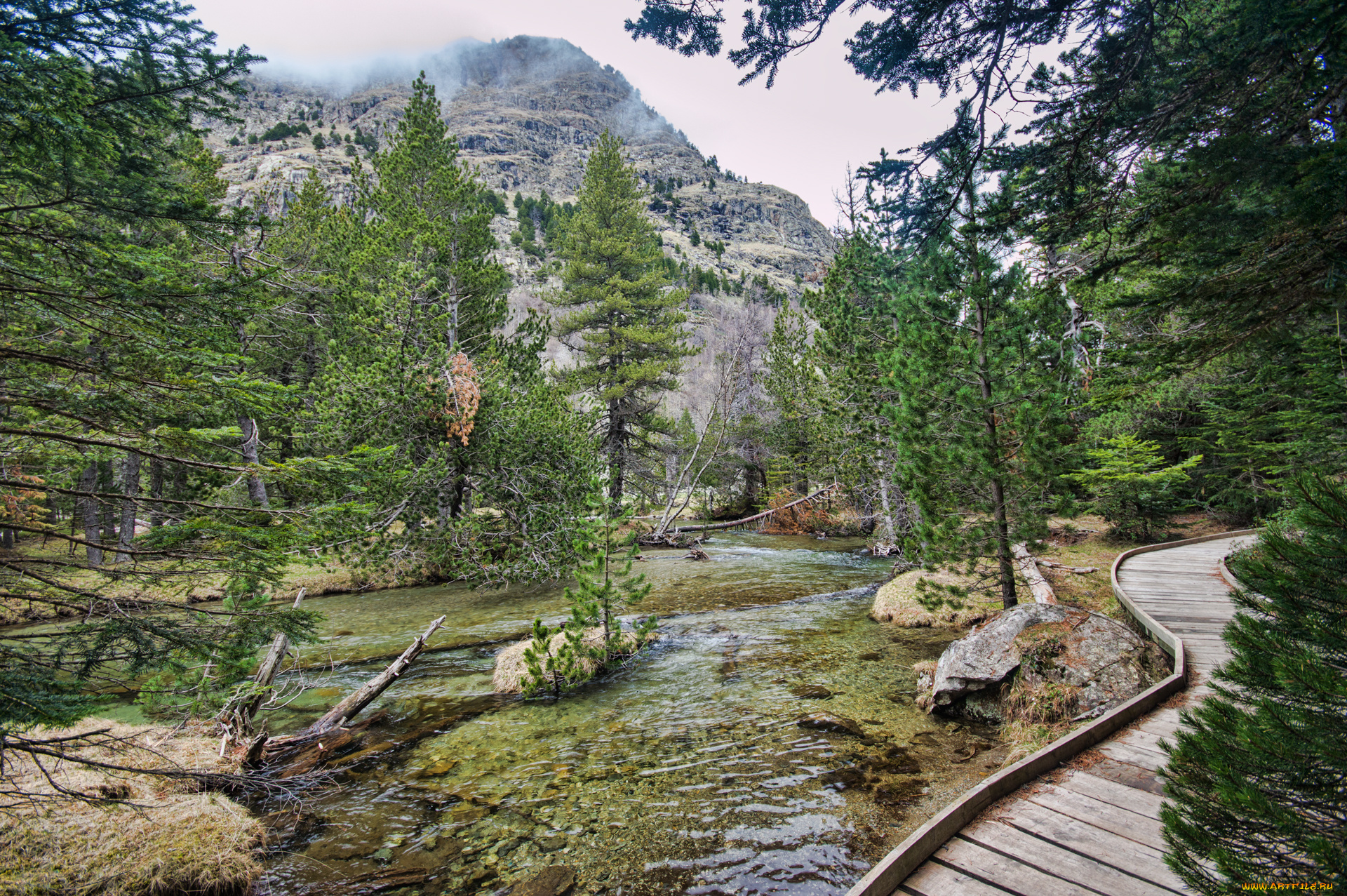 природа, реки, озера, река, горы, лес