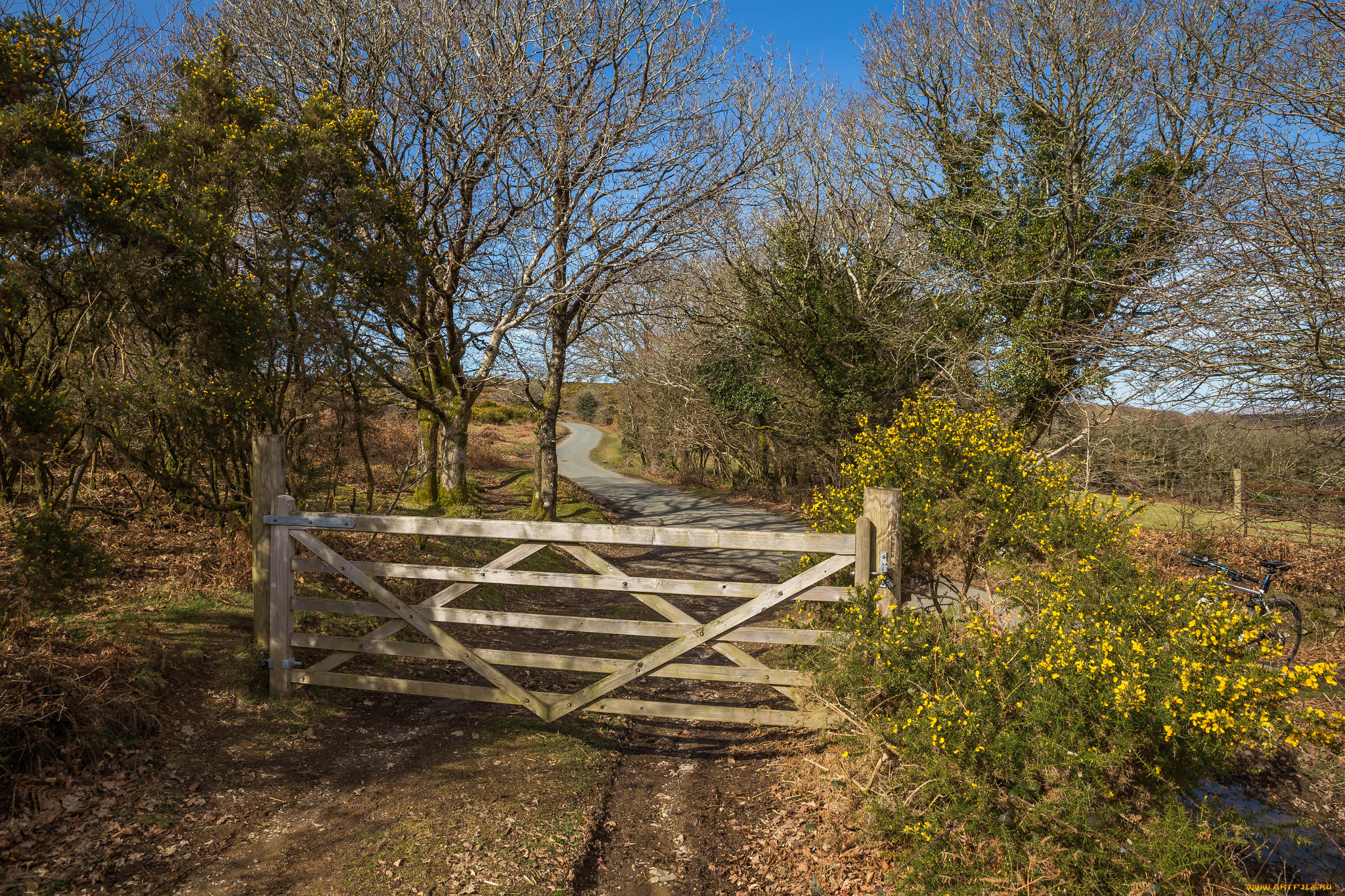 природа, дороги, дорожка, изгородь