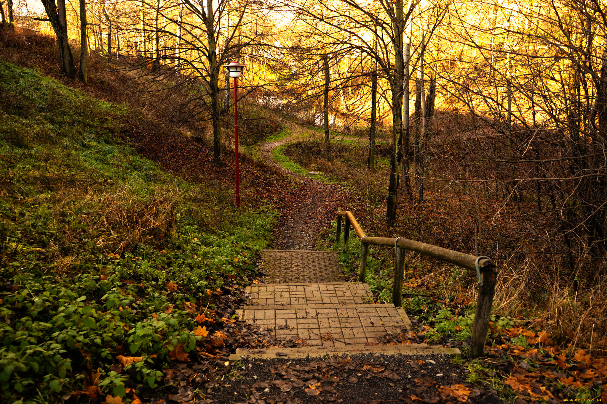 природа, дороги, ступеньки, дорожка