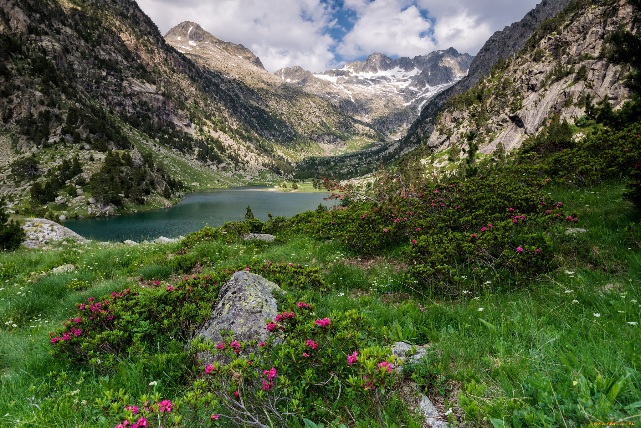 природа, реки, озера, река, лес, горы