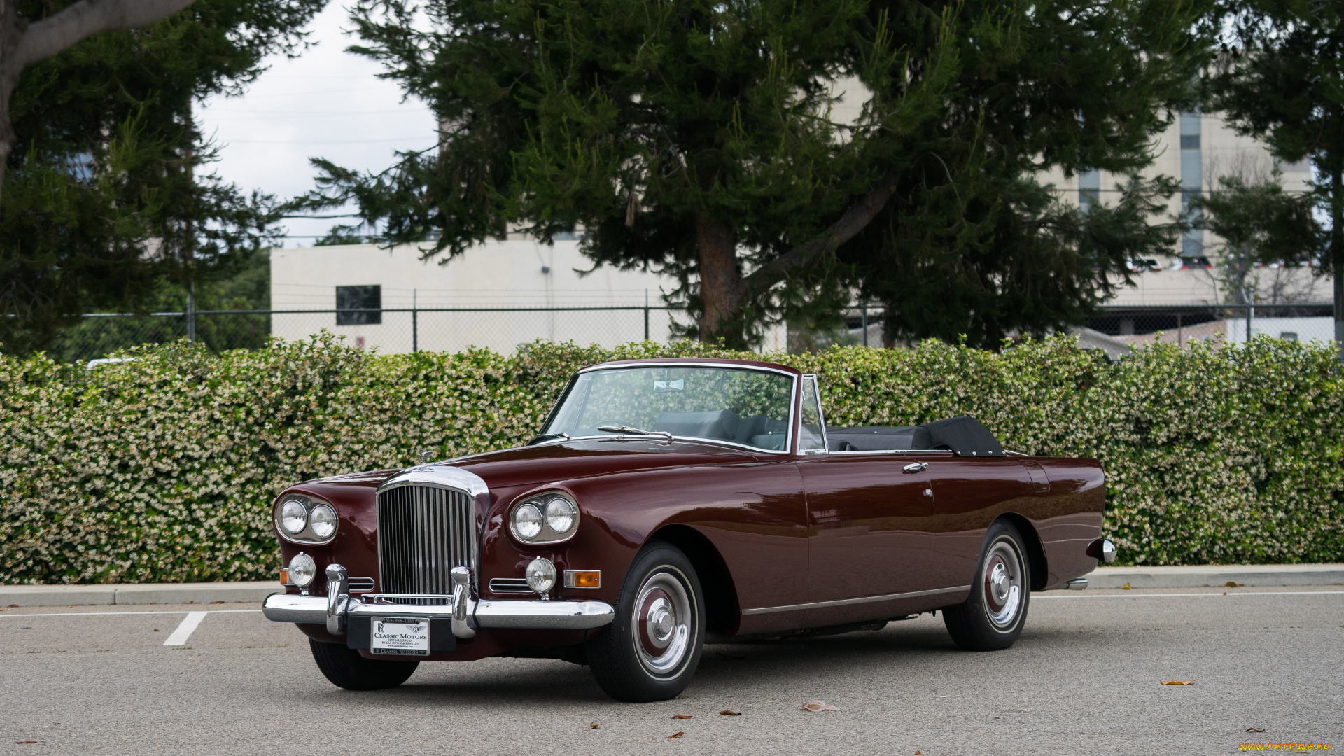 автомобили, bentley