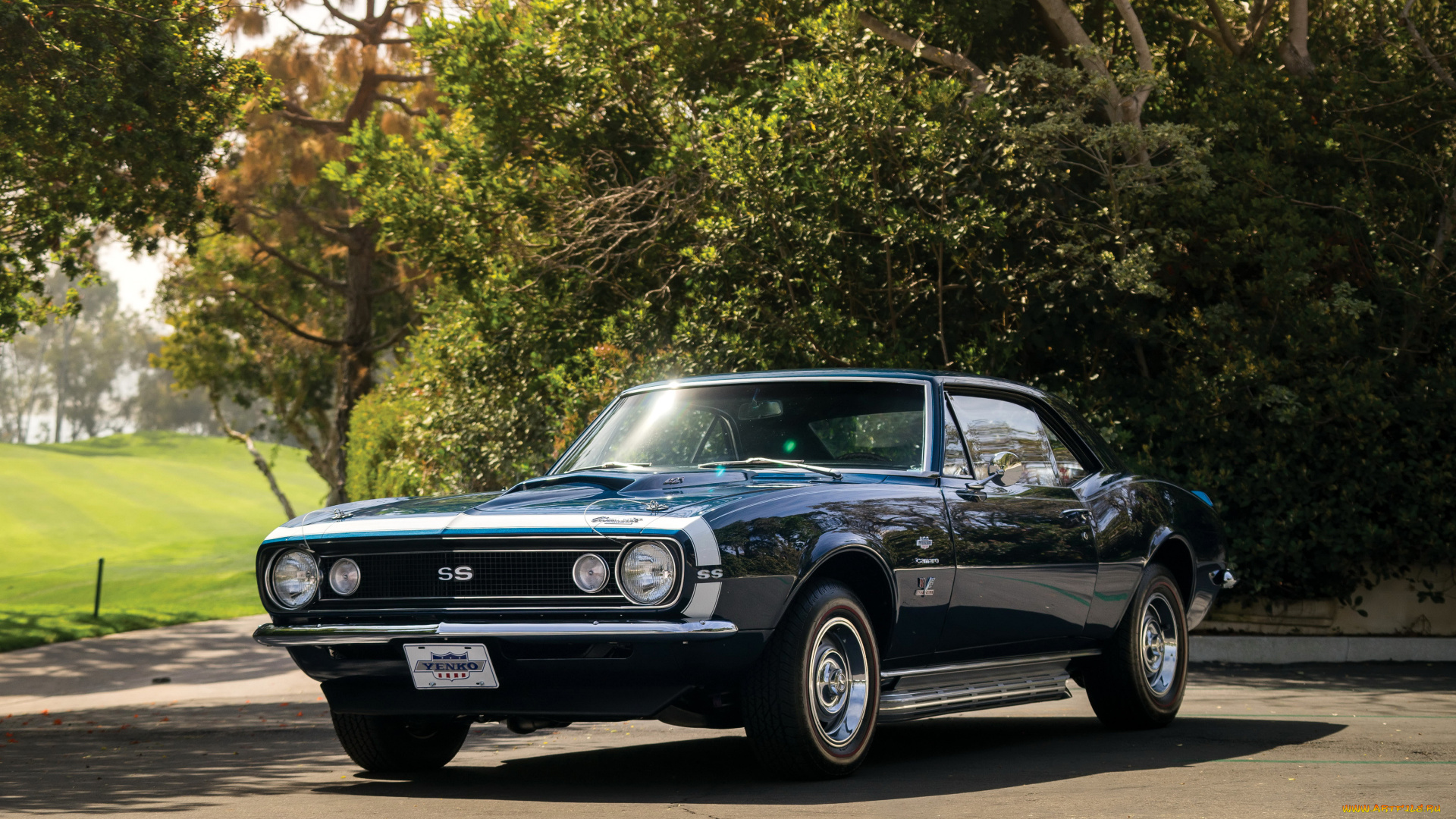 автомобили, camaro