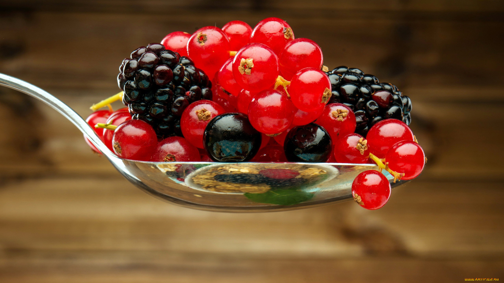 еда, фрукты, , ягоды, ежевика, красная, смородина