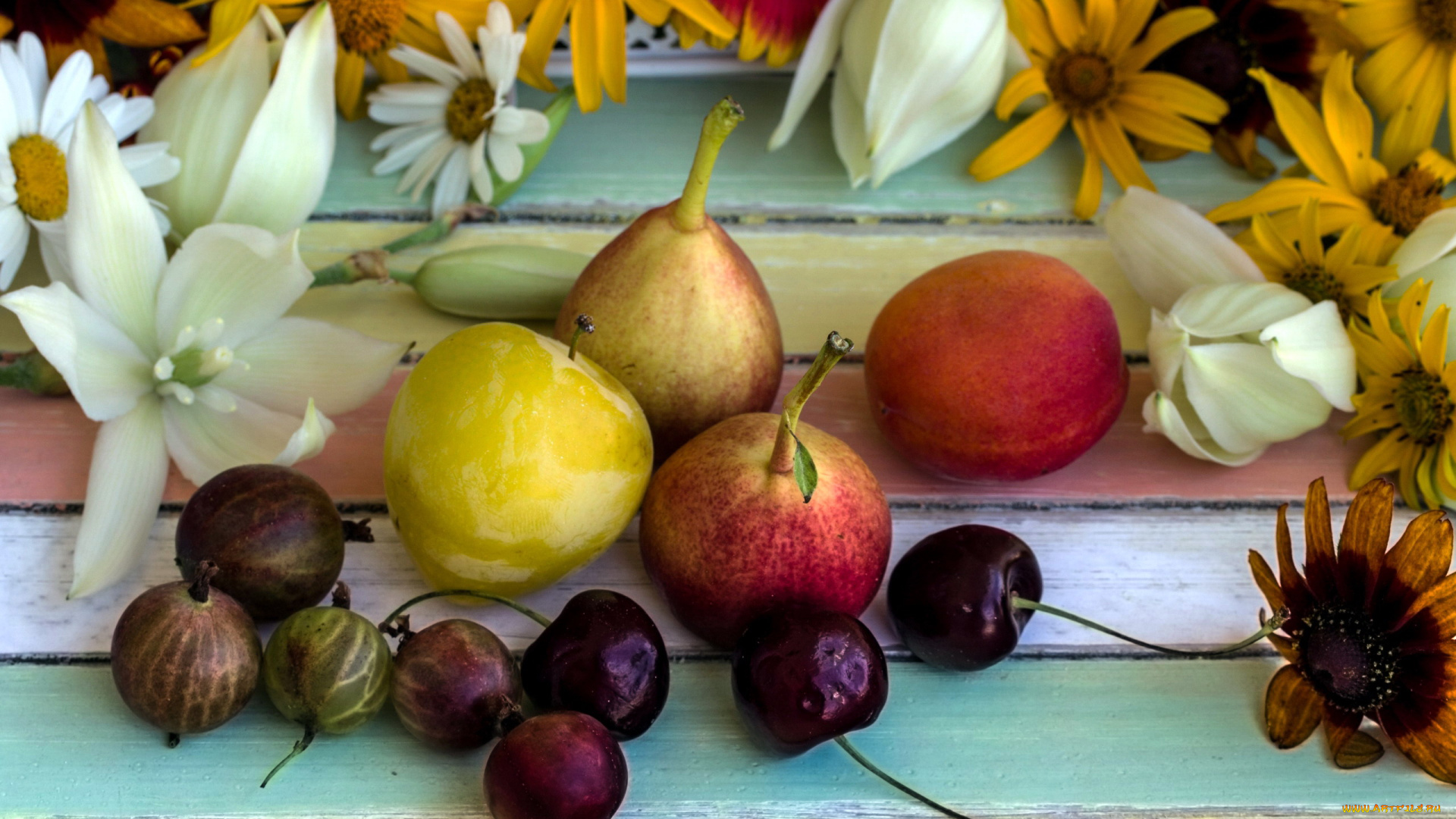 еда, фрукты, , ягоды, вишни, груши, крыжовник, слива