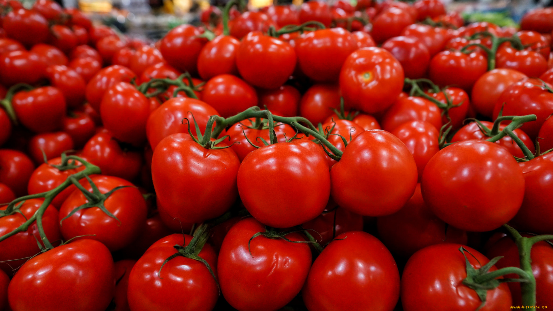 еда, помидоры, томаты