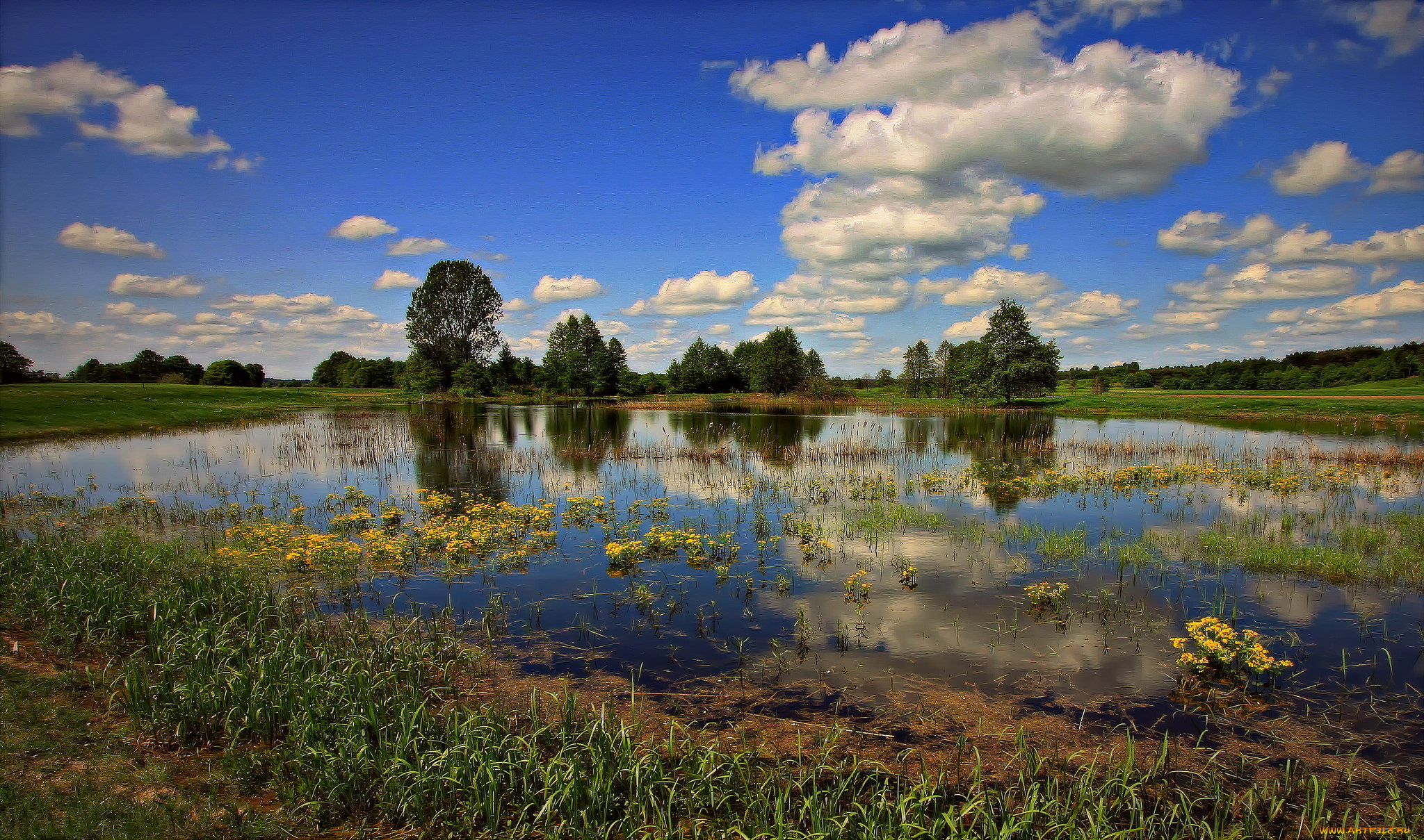 природа, реки, озера, лес, река