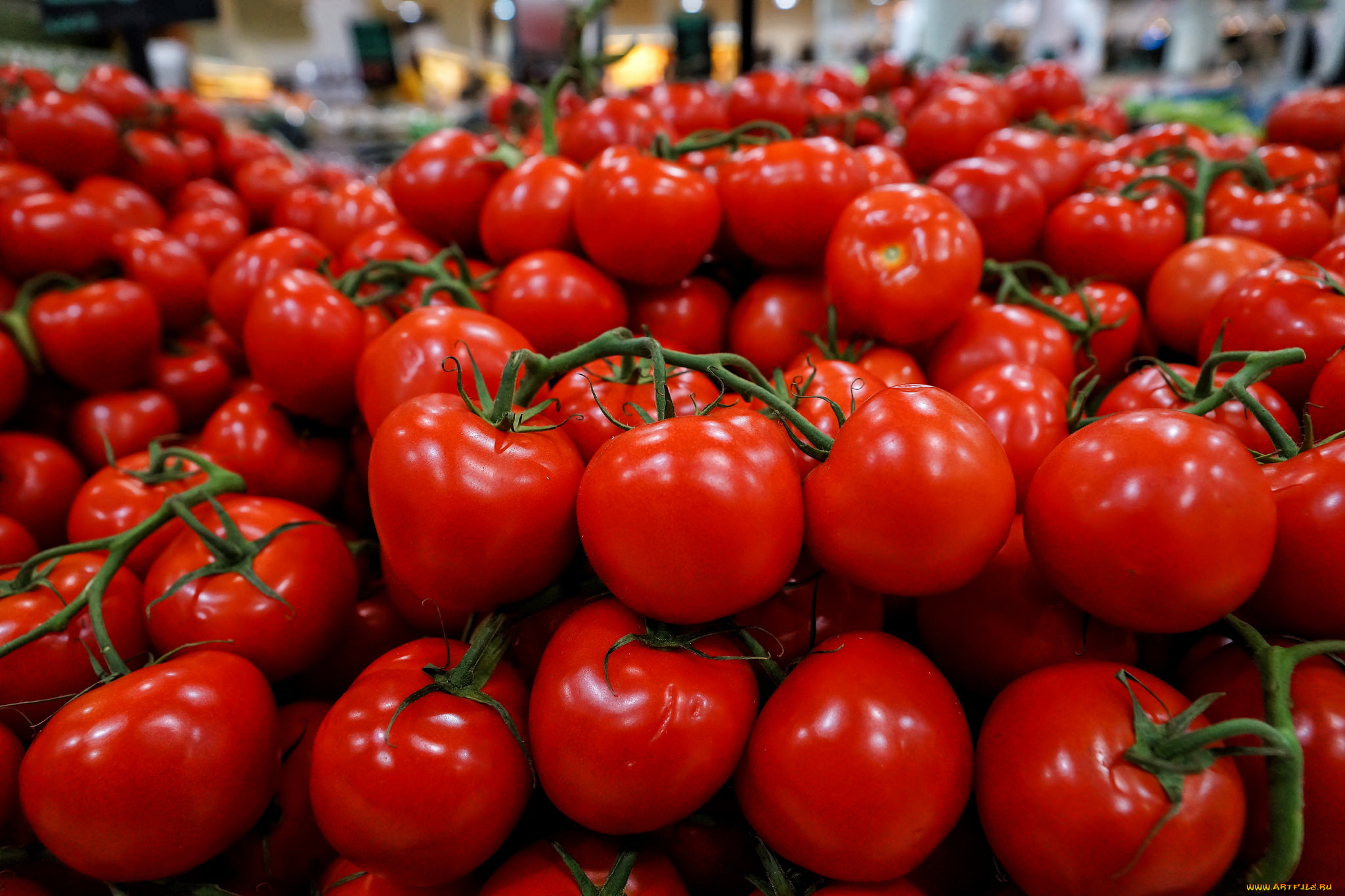 еда, помидоры, томаты