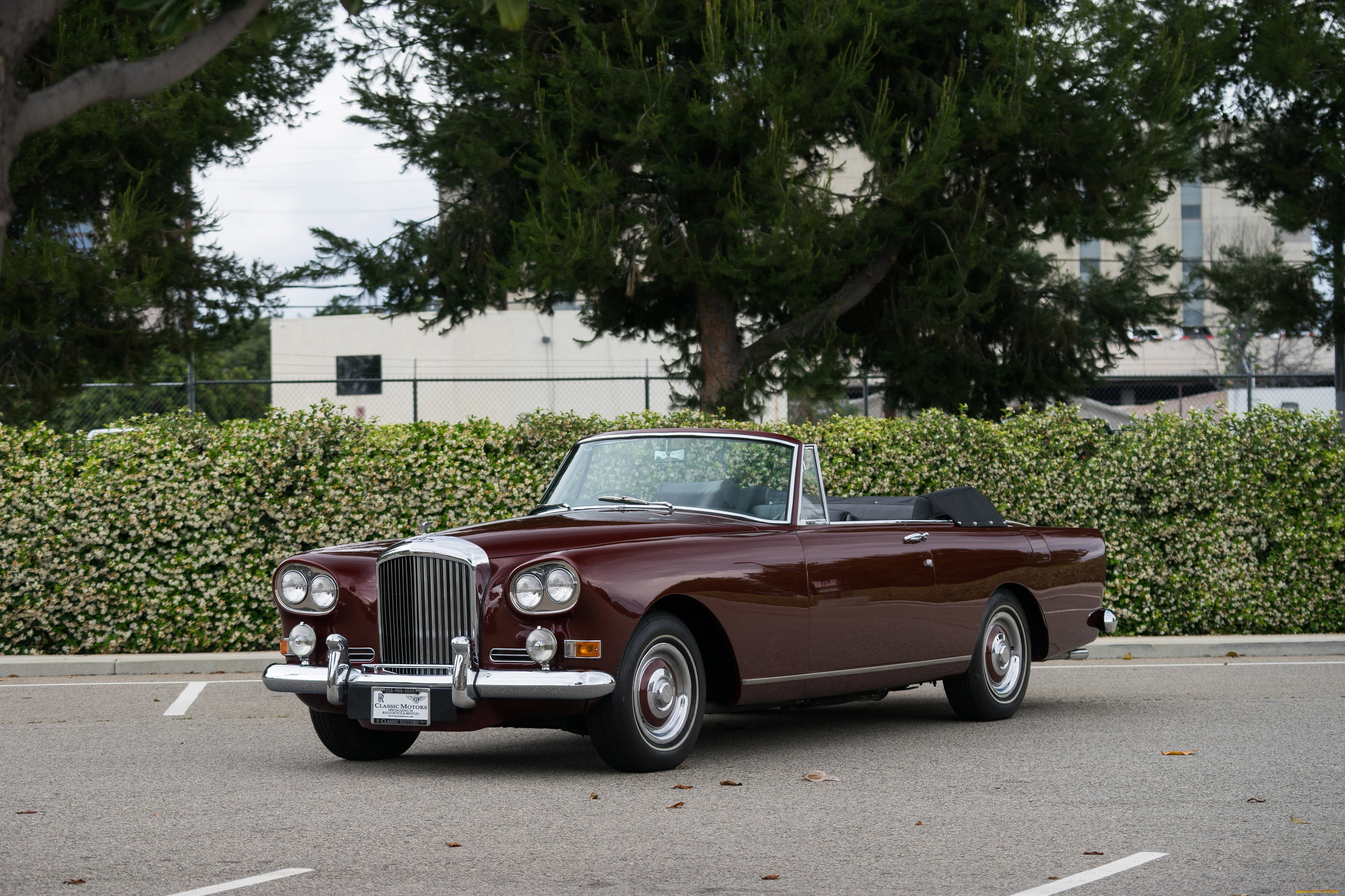 автомобили, bentley