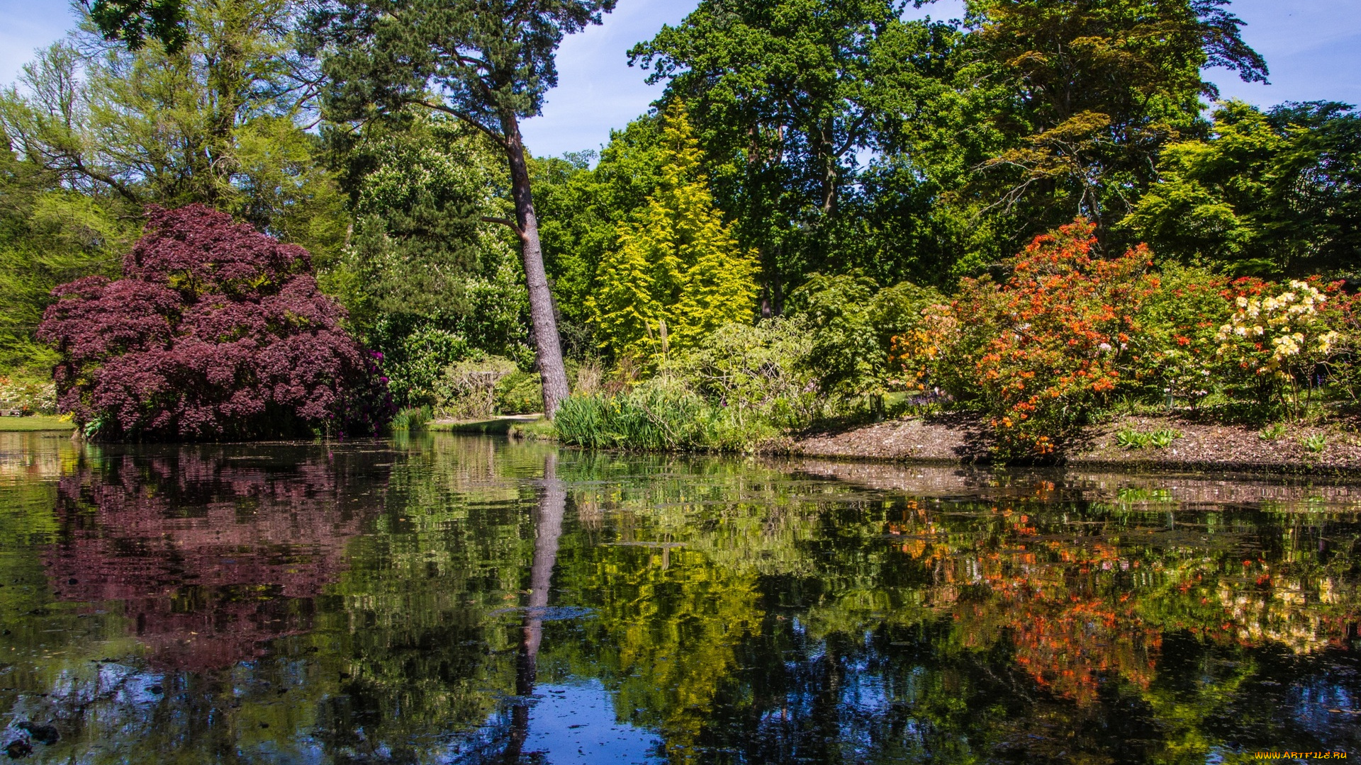 англия, природа, парк, водоем, деревья, цветы