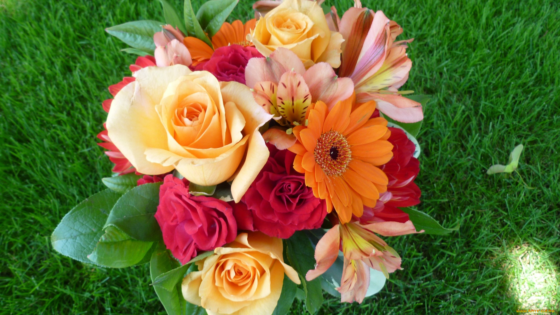 цветы, букеты, , композиции, трава