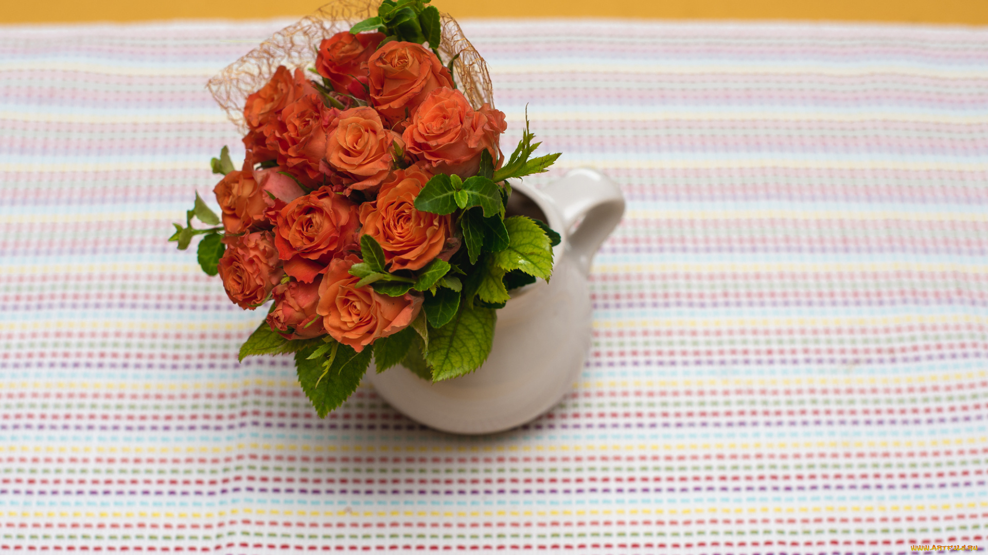 цветы, розы, petals, blossoms, leaves, цветение, листья, лепестки, бутон, роза, bud, rose