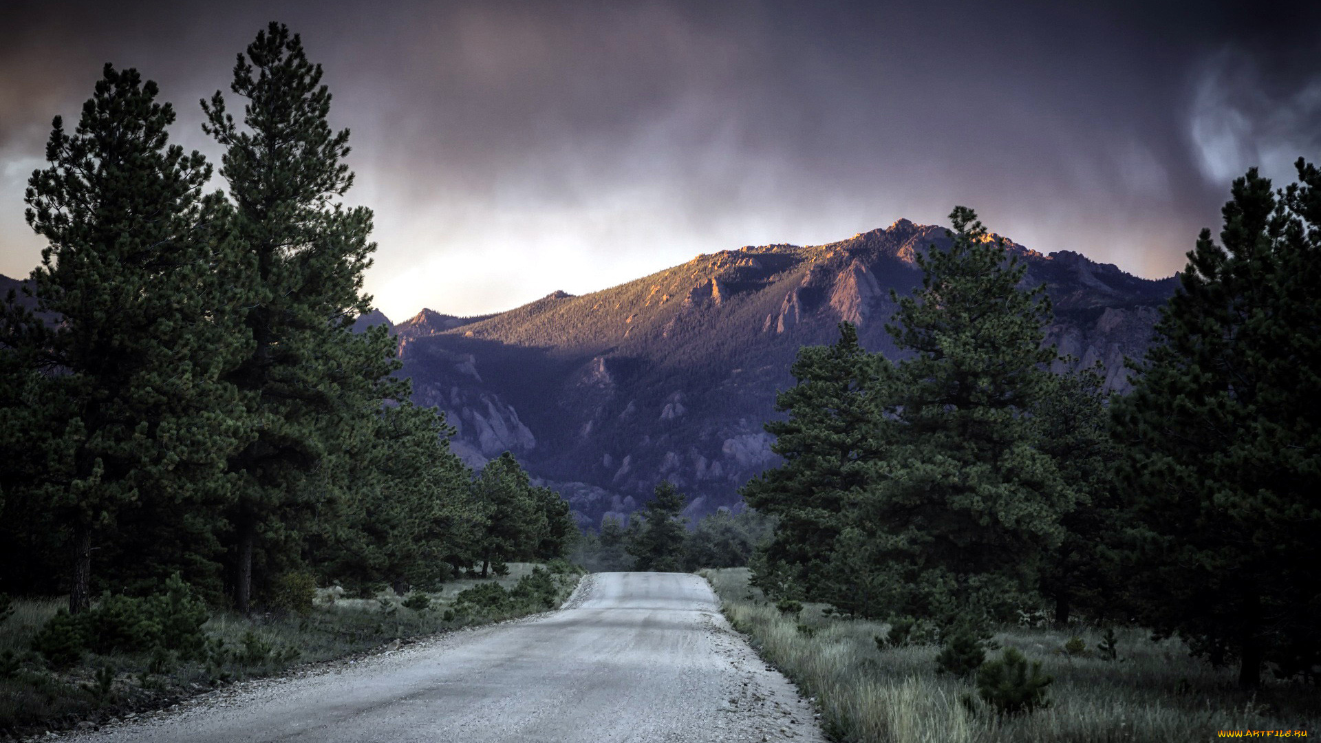 природа, дороги, деревья, дорога, горы