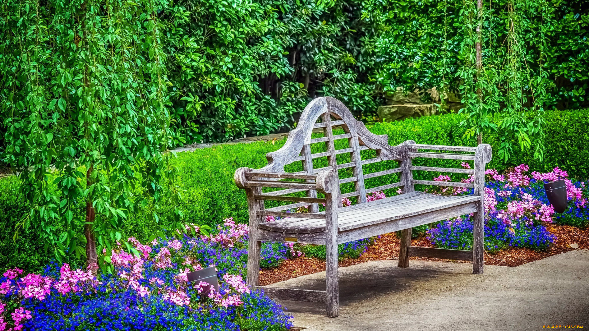 природа, парк, клумбы, цветы, деревья, скамейка