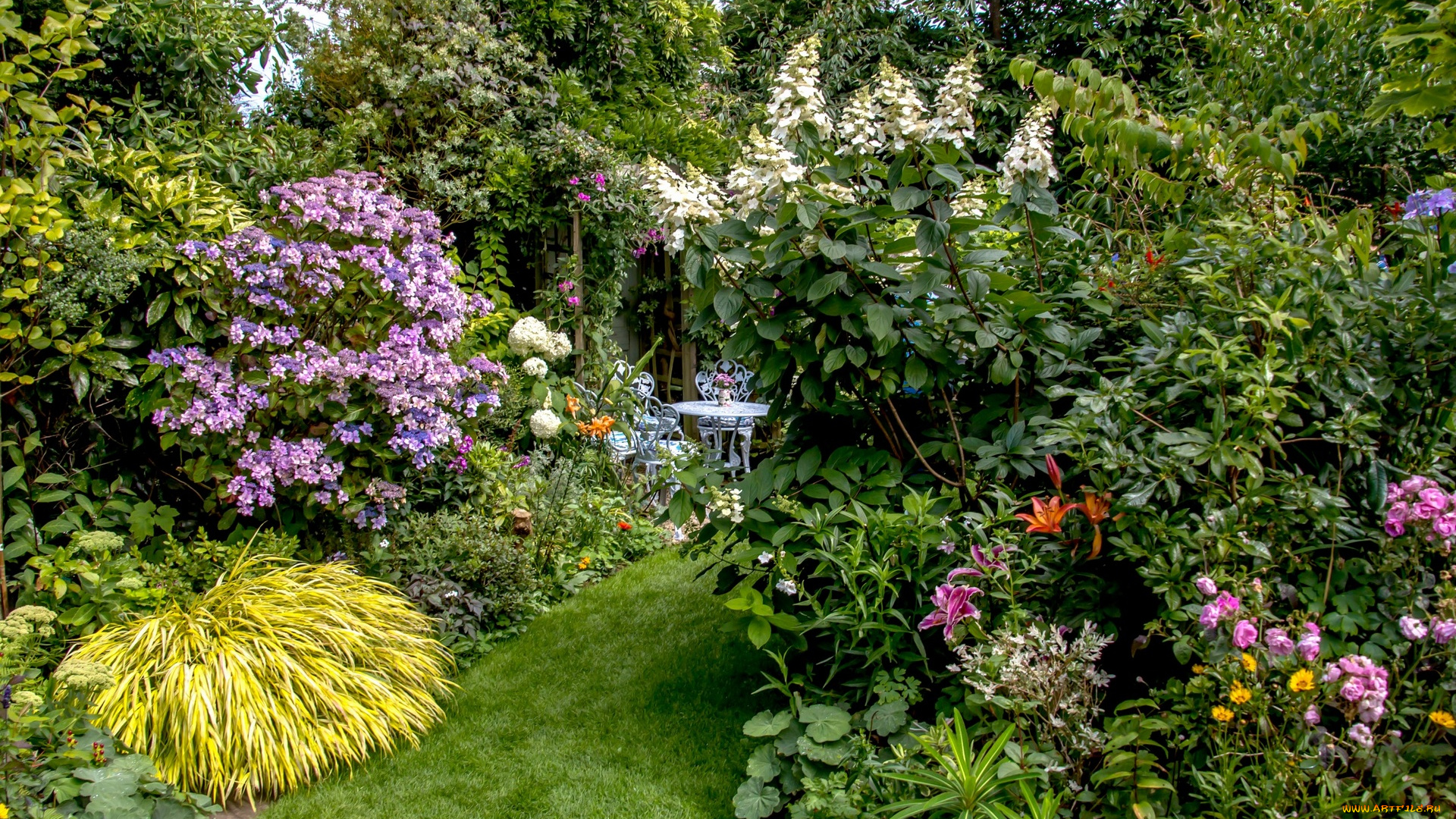 природа, парк, растения, деревья, цветы, трава