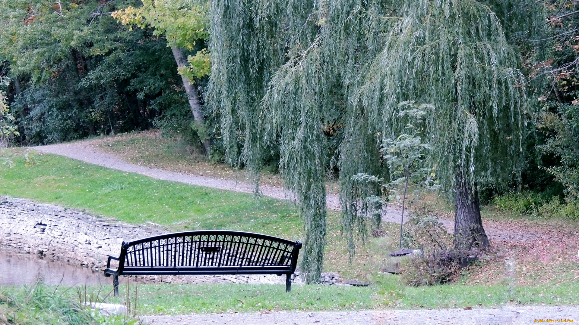 природа, парк, скамейка, деревья, аллея