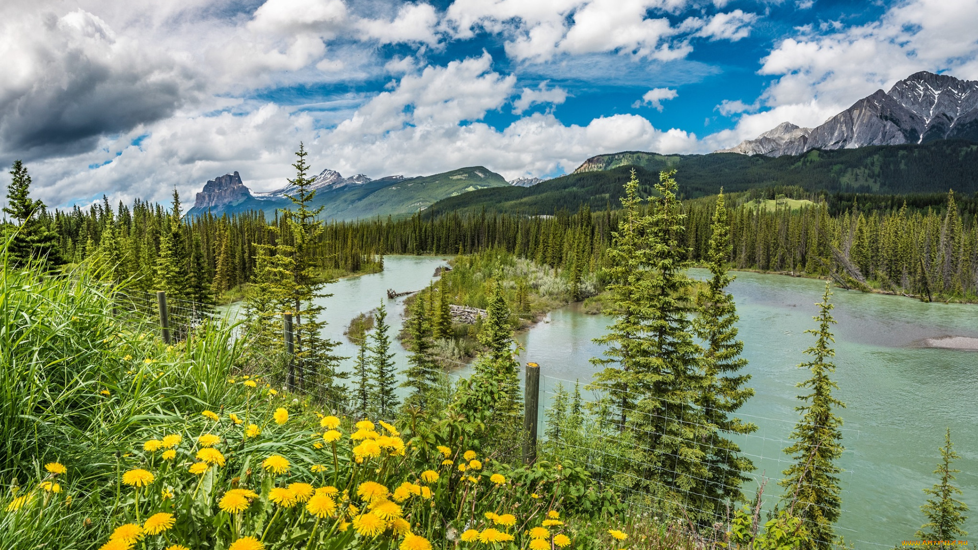 природа, реки, озера, горы, лес, река