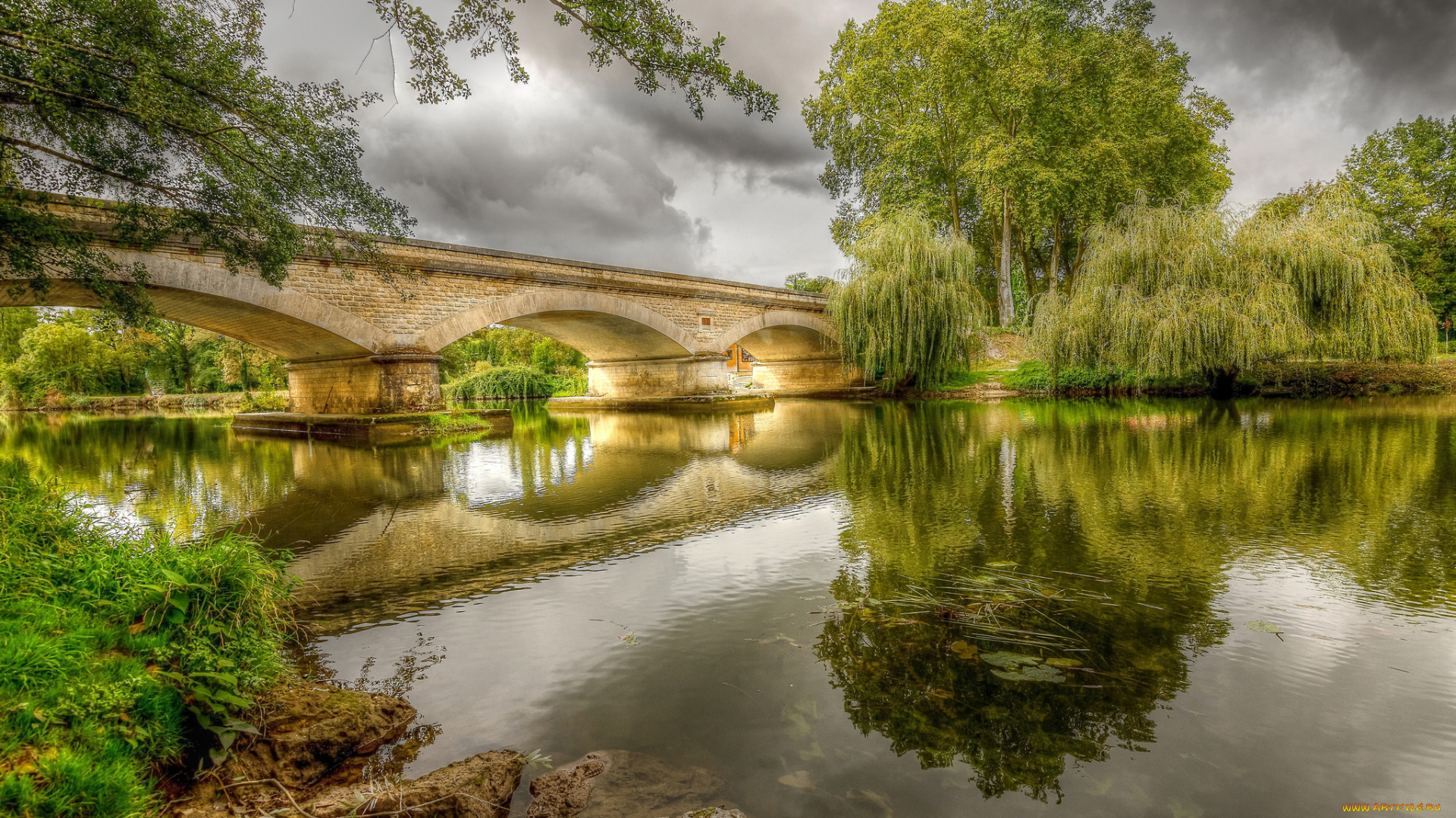 природа, реки, озера, лес, река