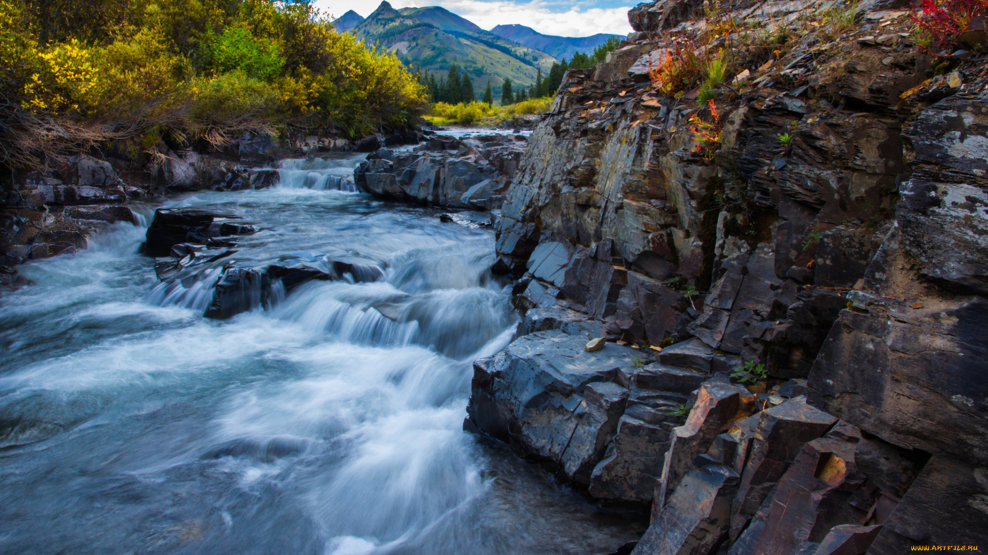 природа, реки, озера, река, лес