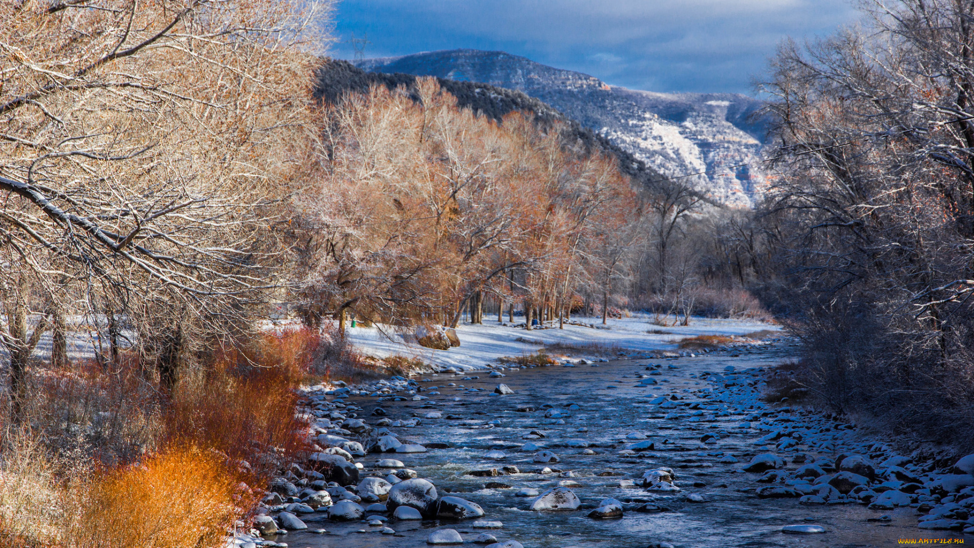 природа, реки, озера, река, лес