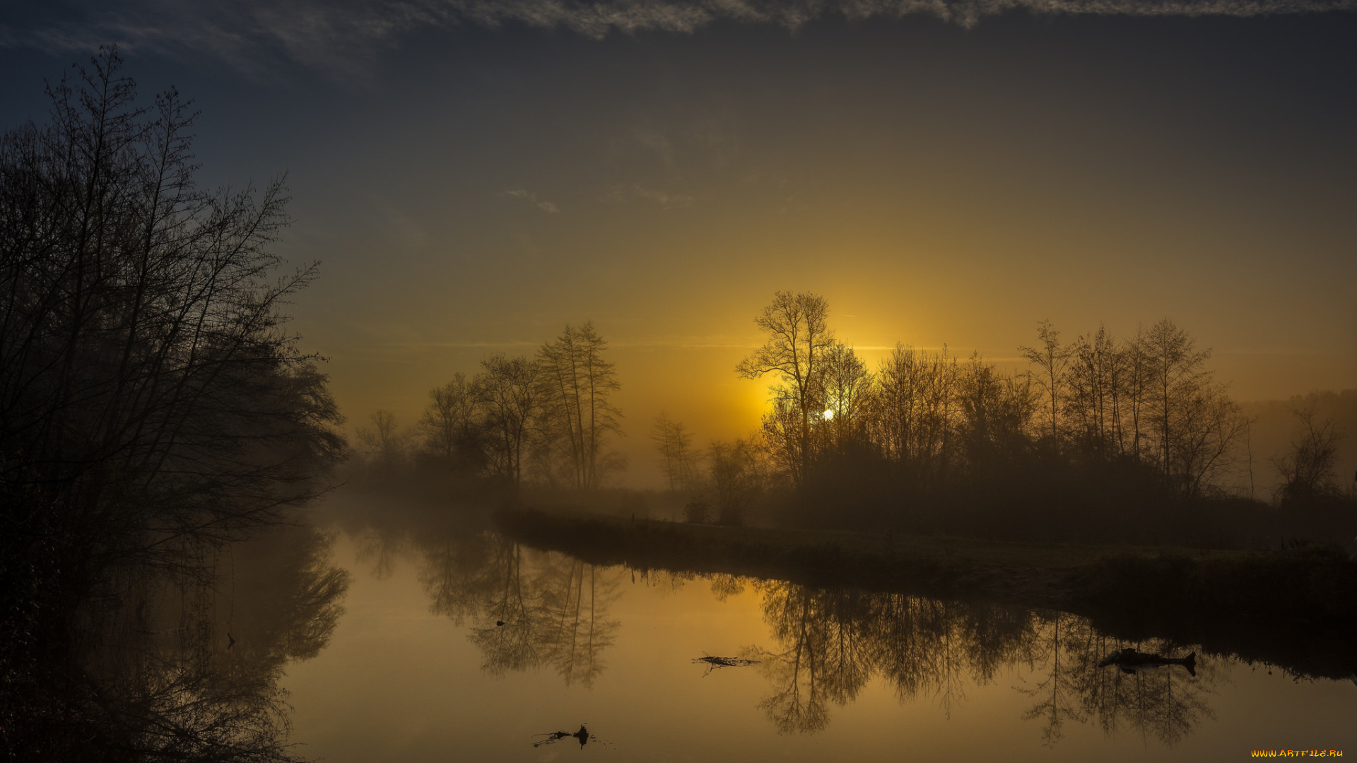 природа, реки, озера, река, лес