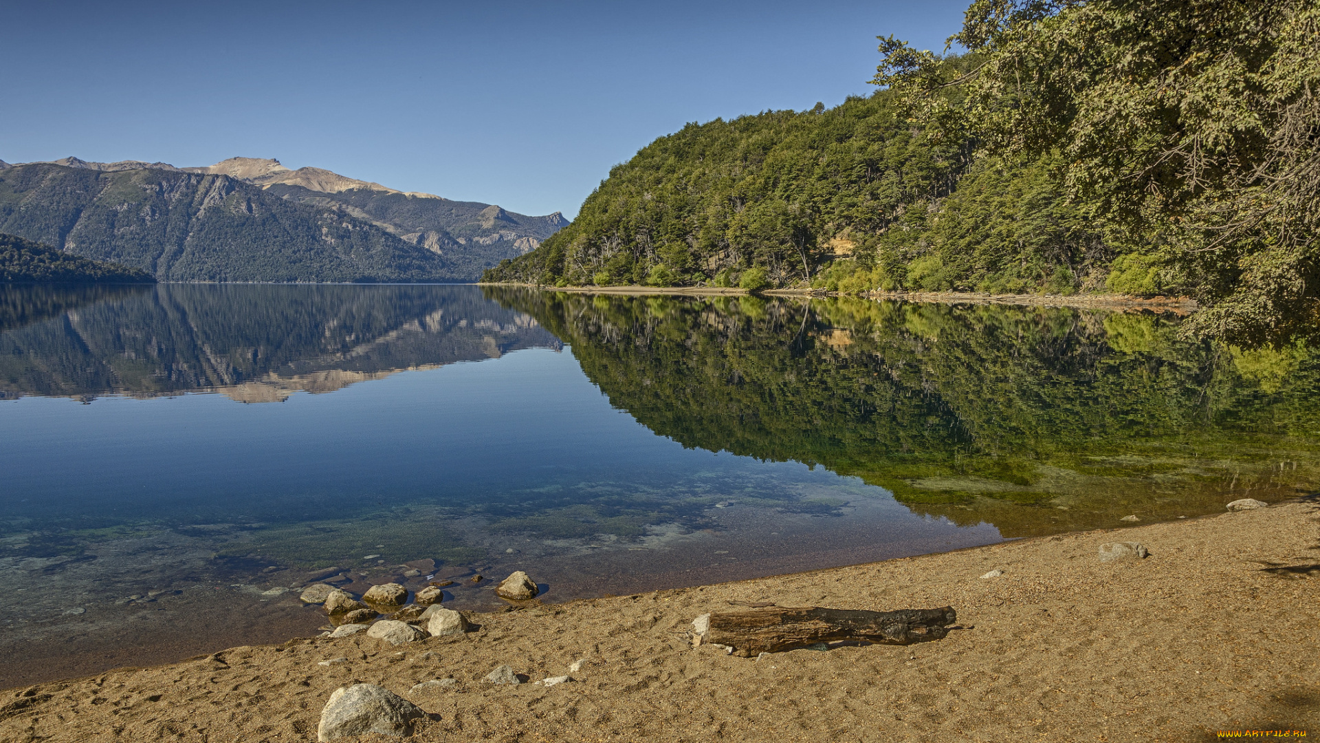 природа, реки, озера, река, лес