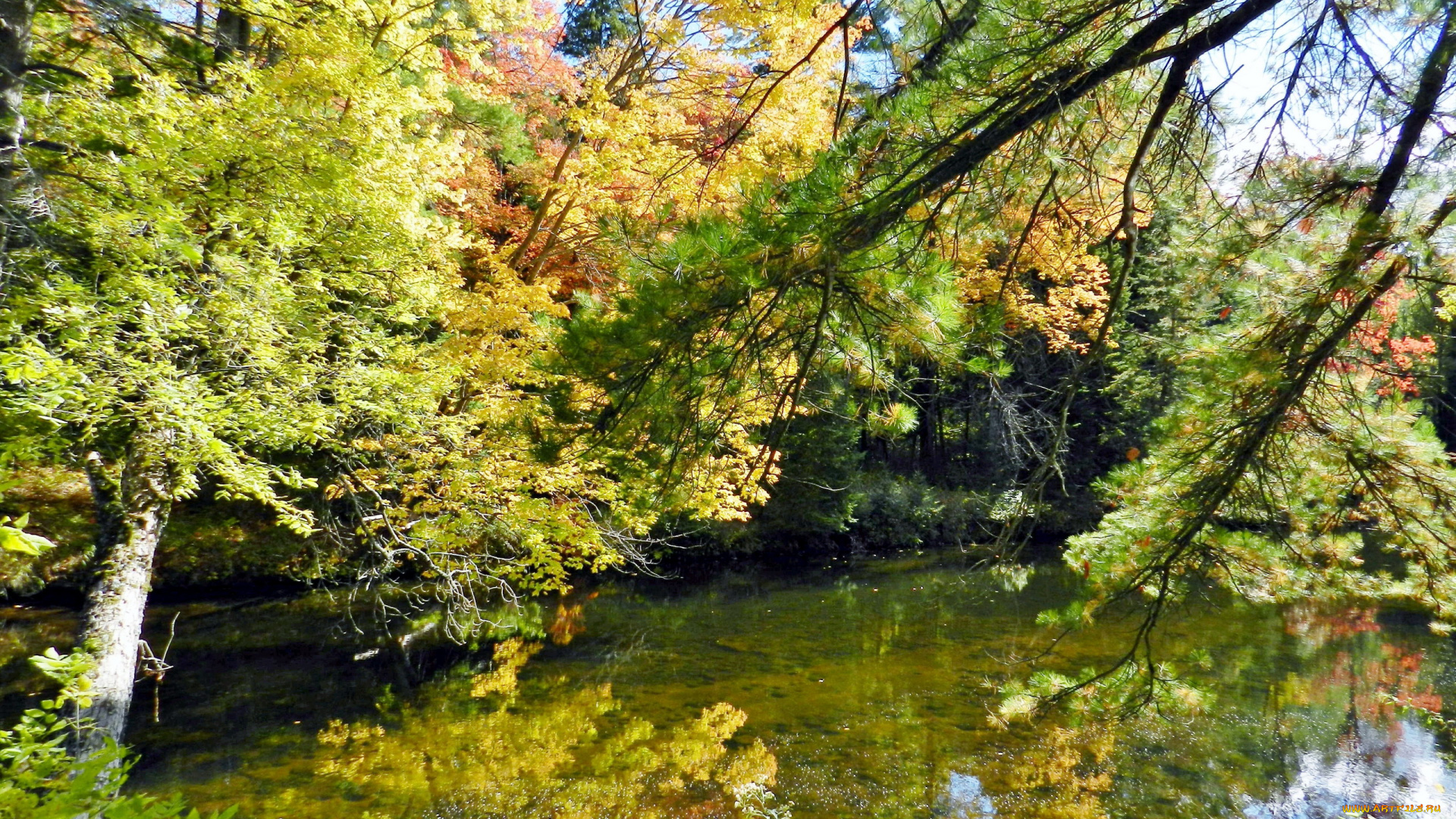 природа, реки, озера, вода, деревья