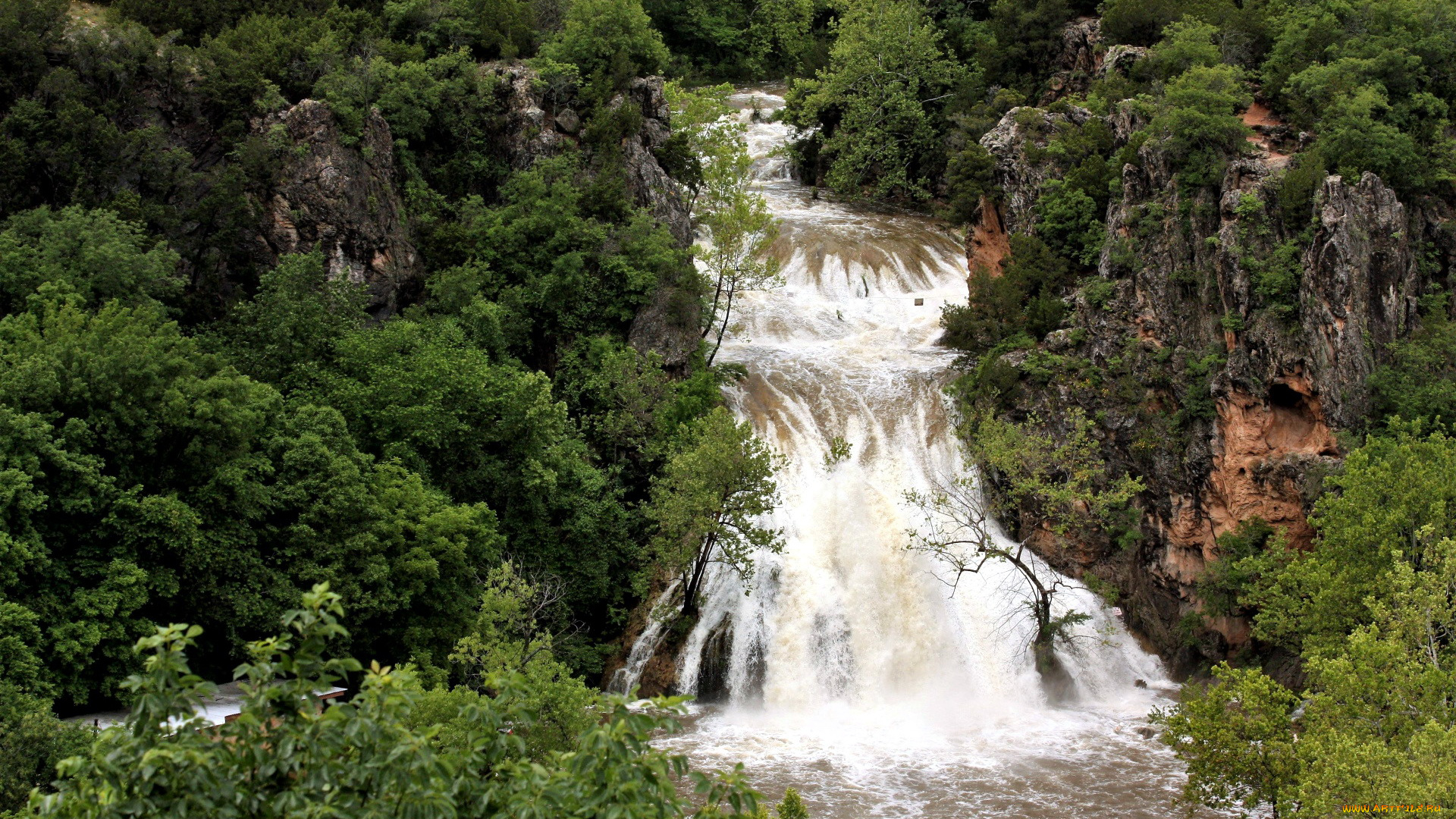 природа, водопады, поток, водопад, деревья, скалы