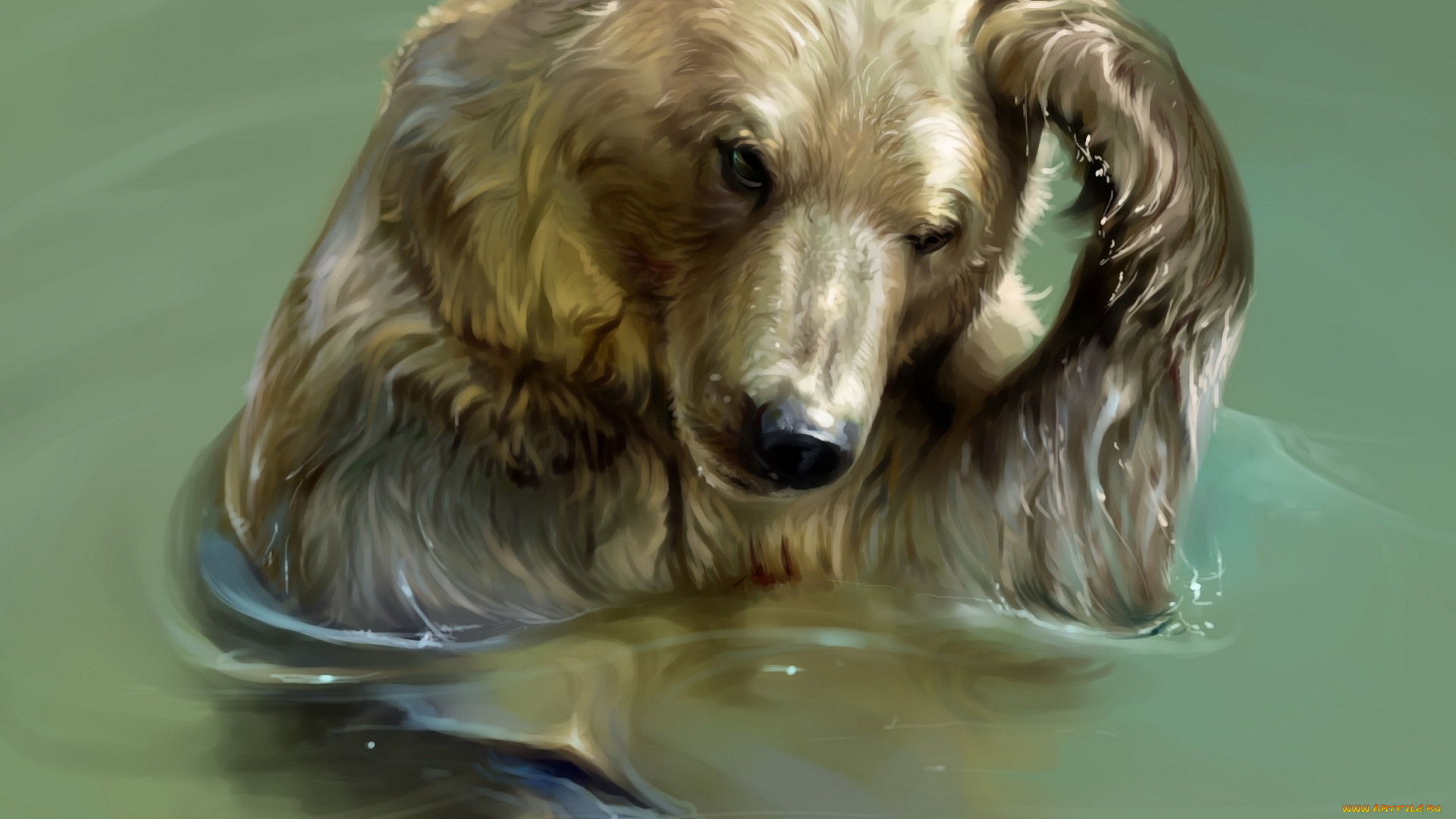 рисованное, животные, , медведи, водоем