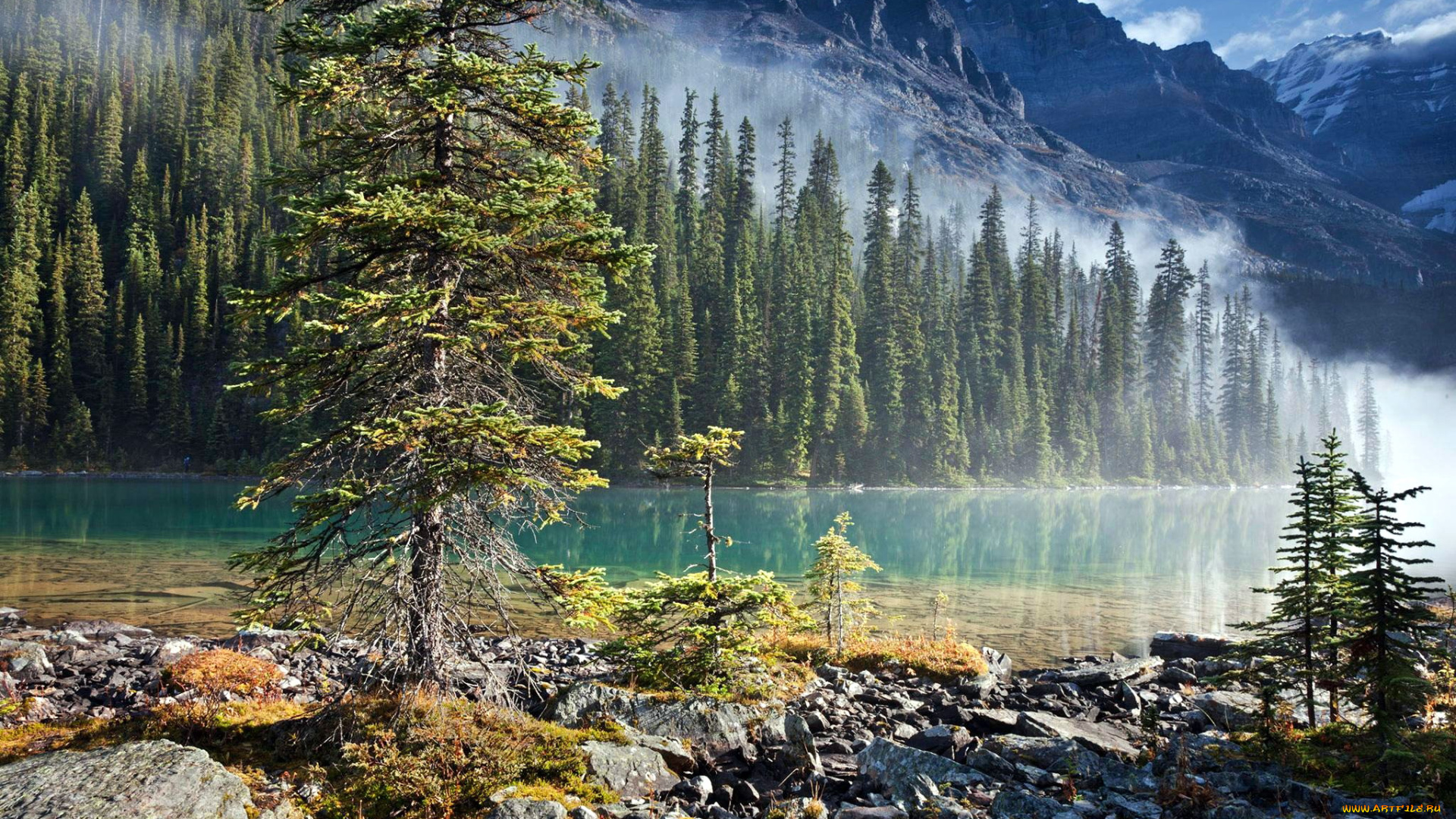 yoho, national, park, природа, реки, озера, yoho, national, park